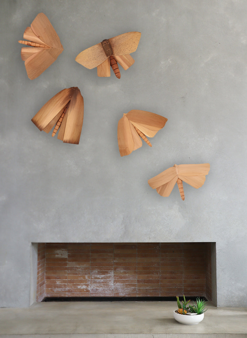 Wooden Moth - 7