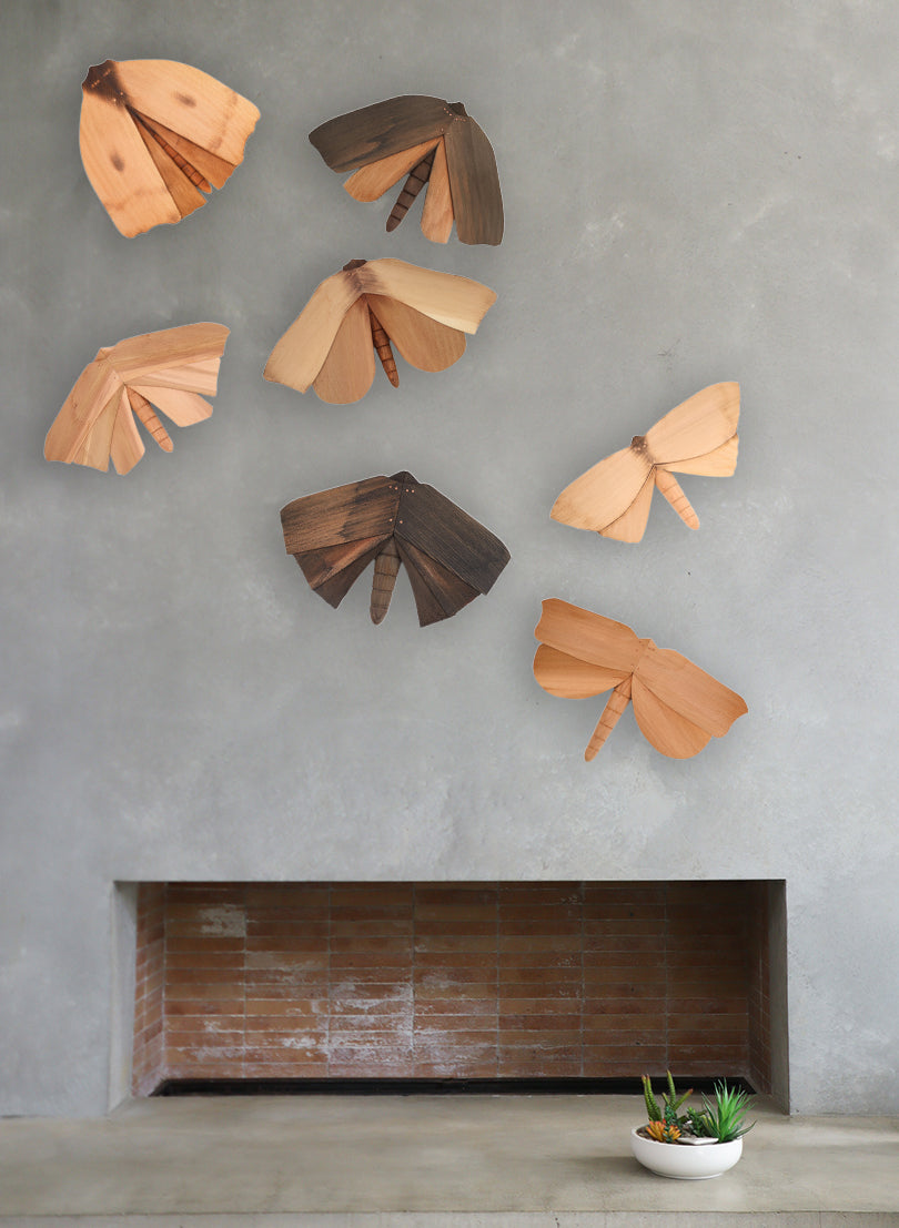 Wooden Moth - 21