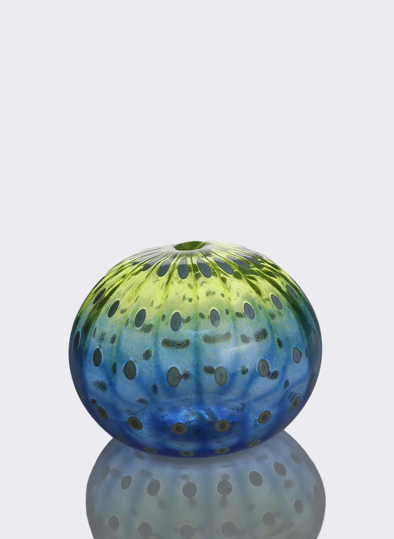 Sea Urchin - Yellow & Blue