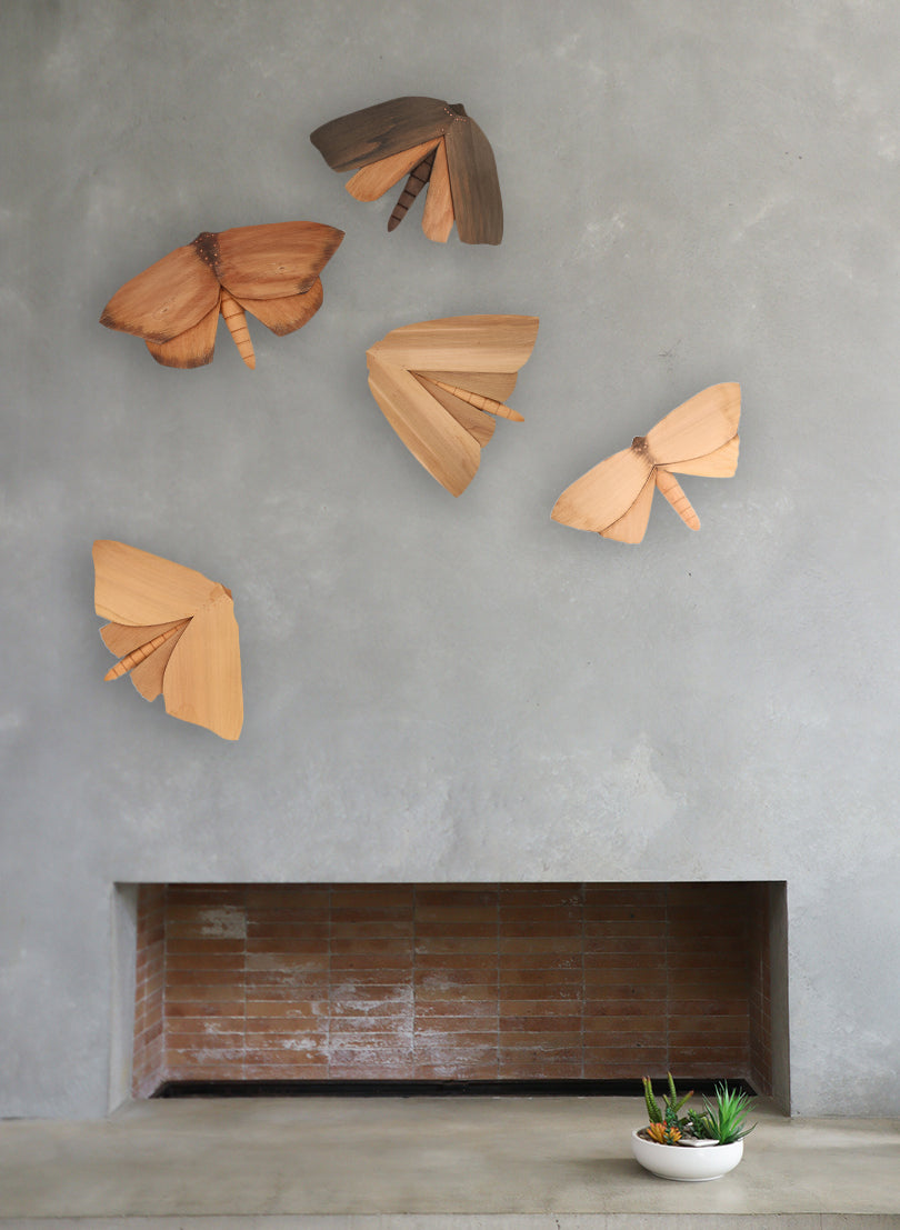 Wooden Moth - 2