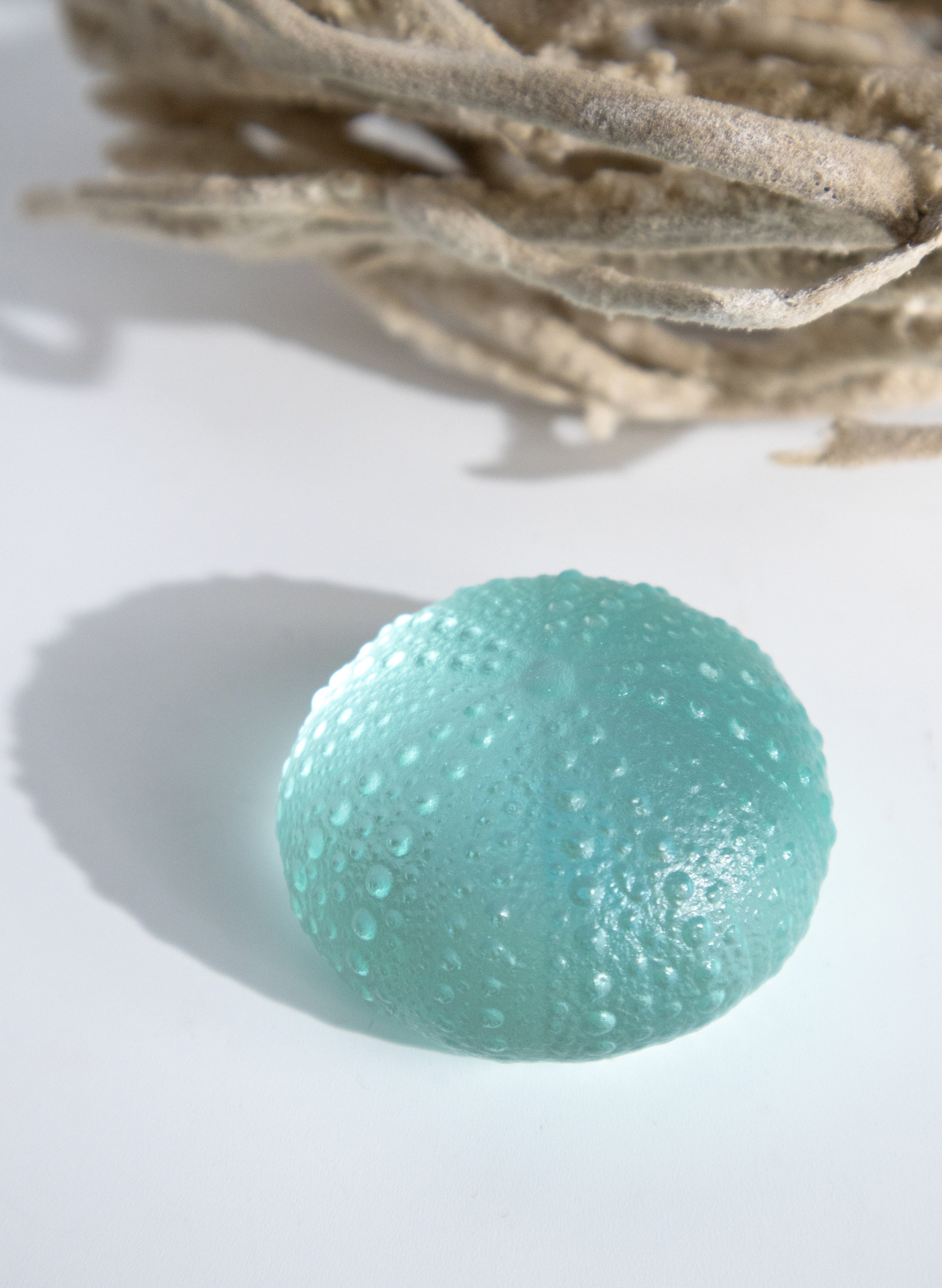 Medium Sea Urchin - Pale Copper Blue