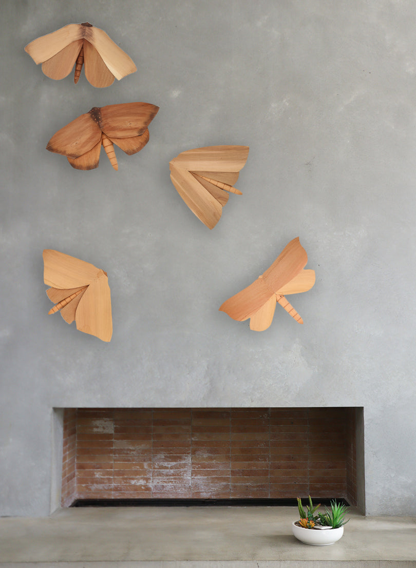 Wooden Moth - 14