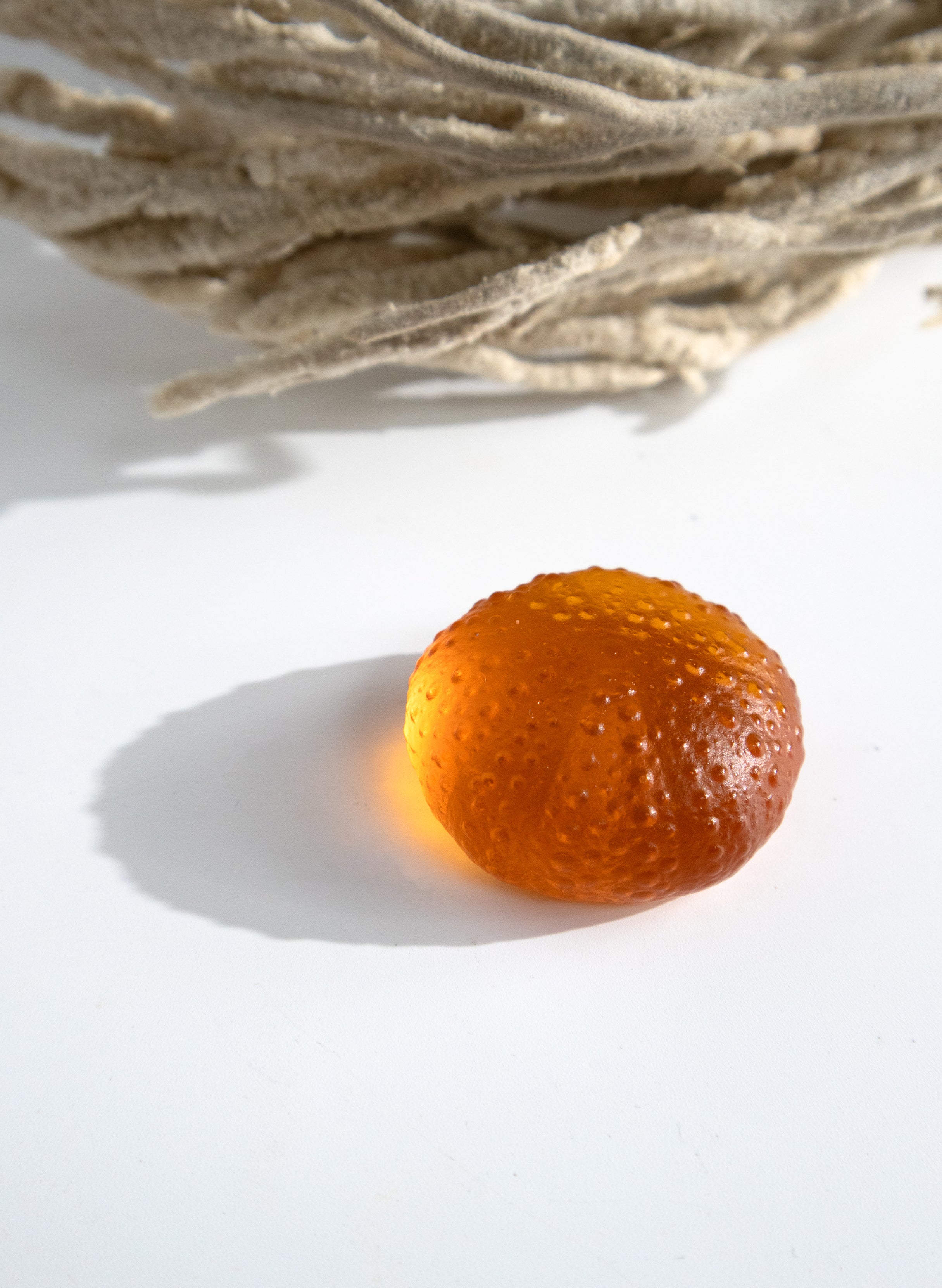 Small Sea Urchin - Orange