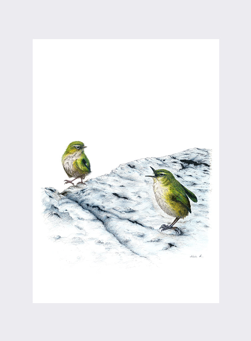 Mother Rockwren Scolding Offspring - Giclée Print