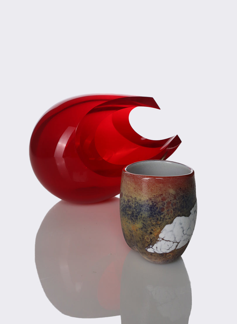 Tachi White Cup
