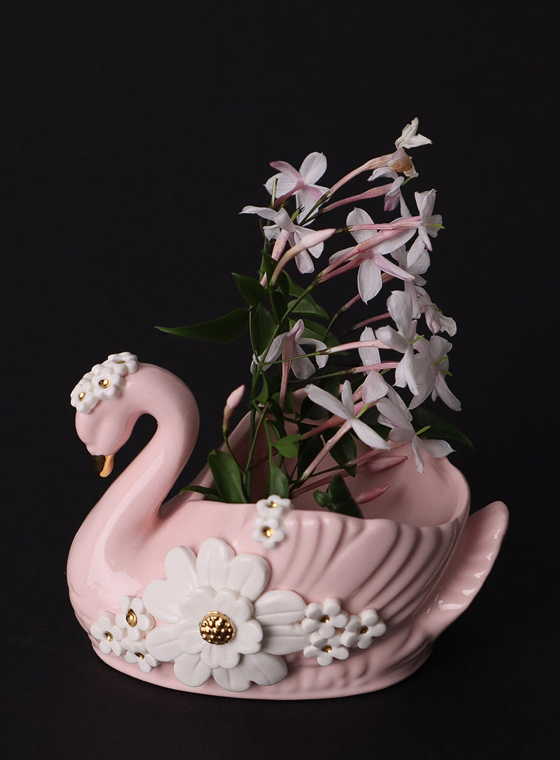 Small Pink Swan
