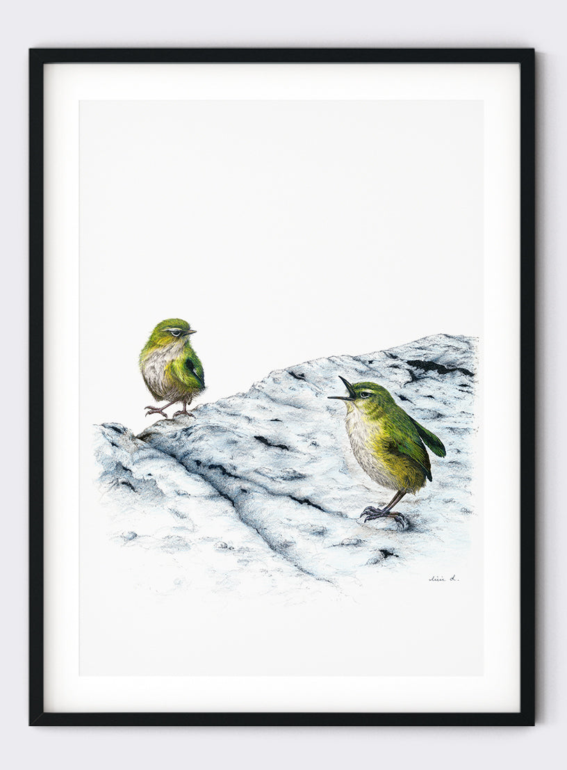 Mother Rockwren Scolding Offspring - Giclée Print