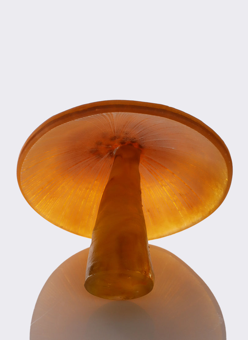 Butterscotch Mushroom - Large