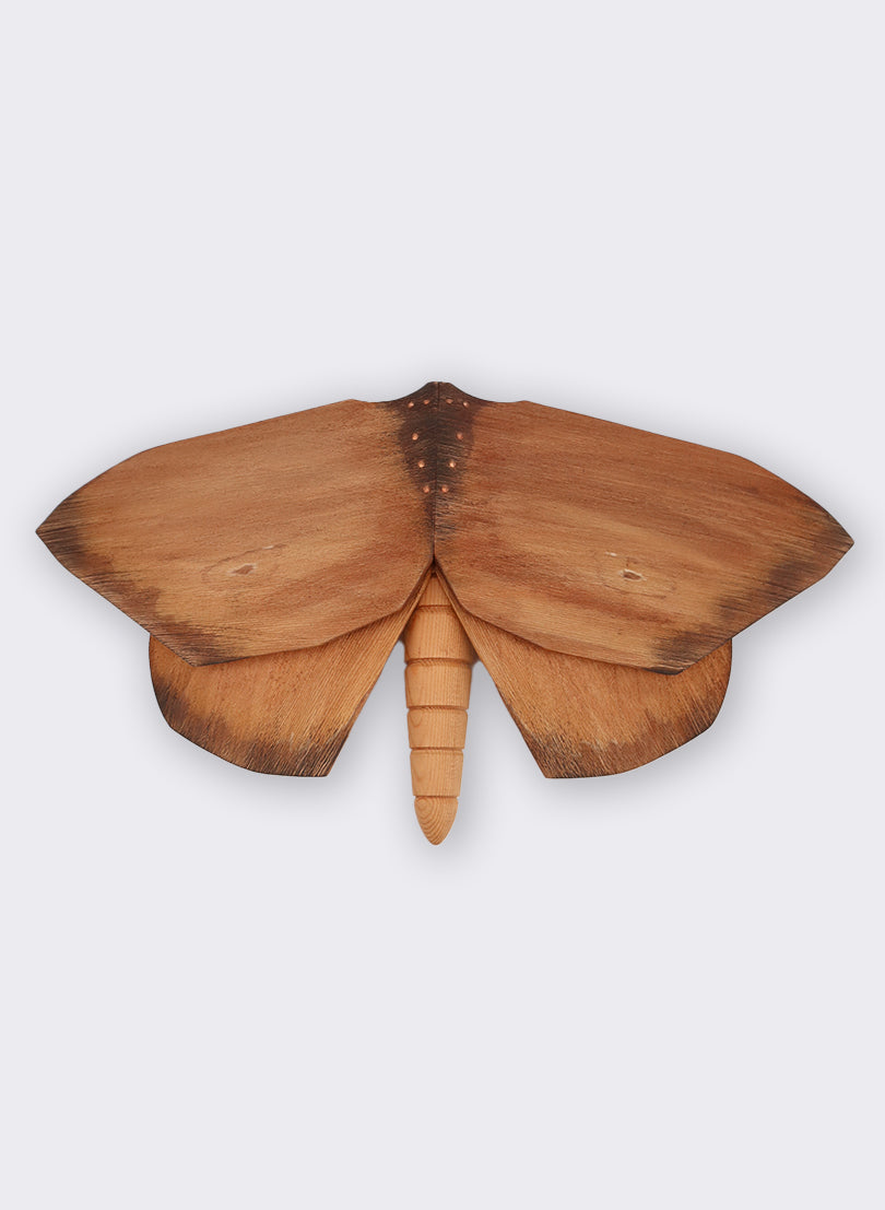 Wooden Moth - 6