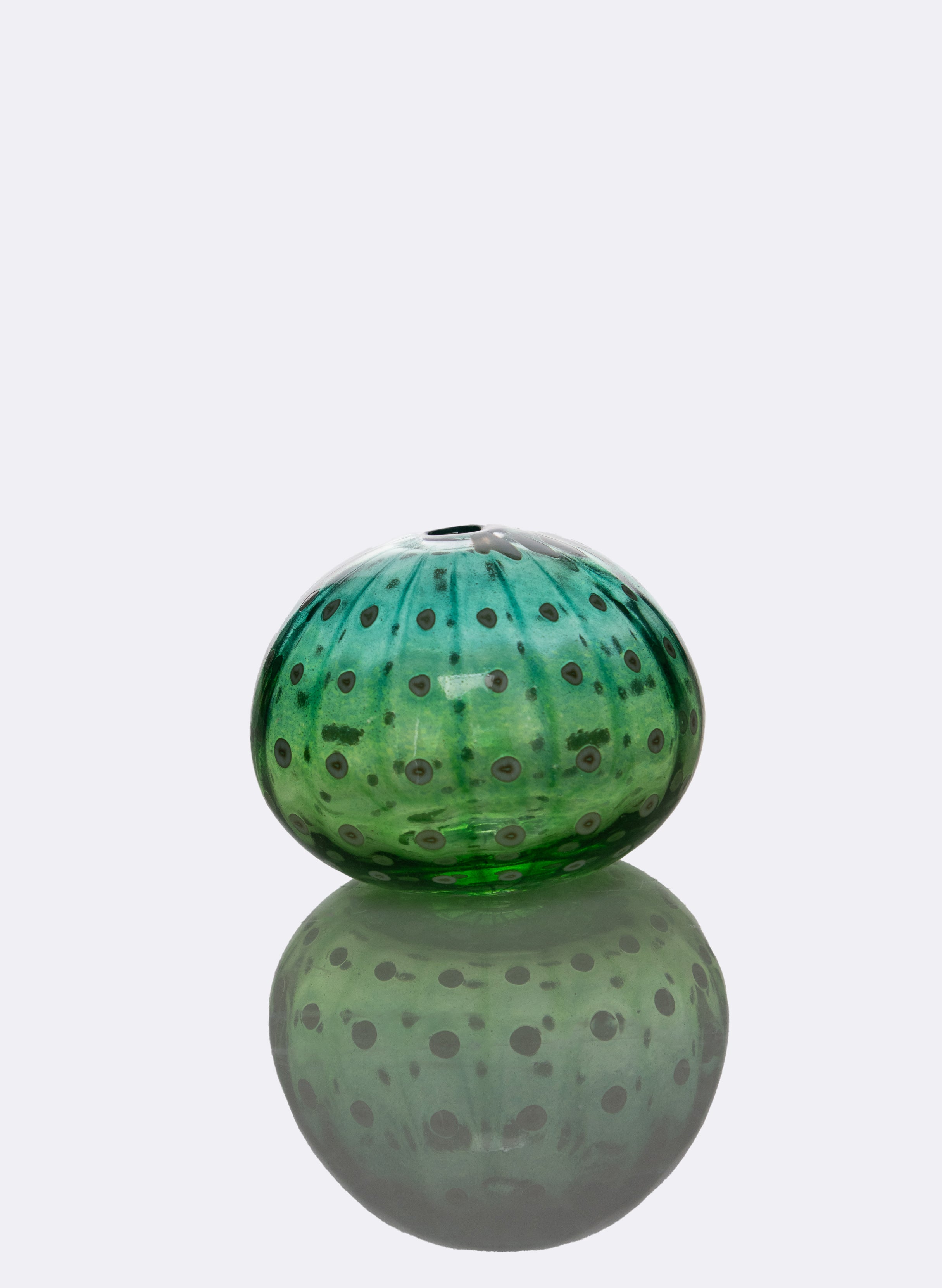Sea Urchin - Greens