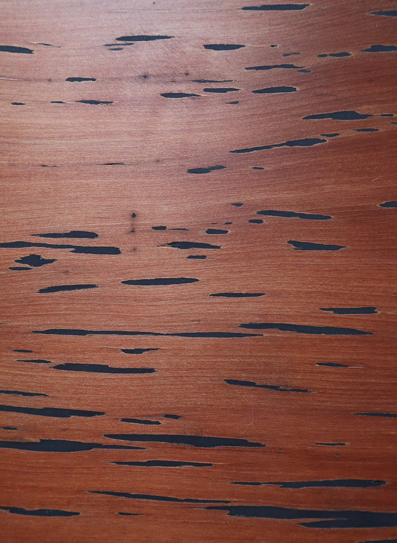 Totara Marama