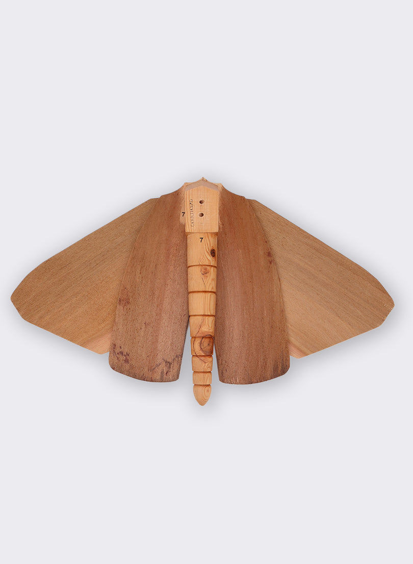 Wooden Moth - 7