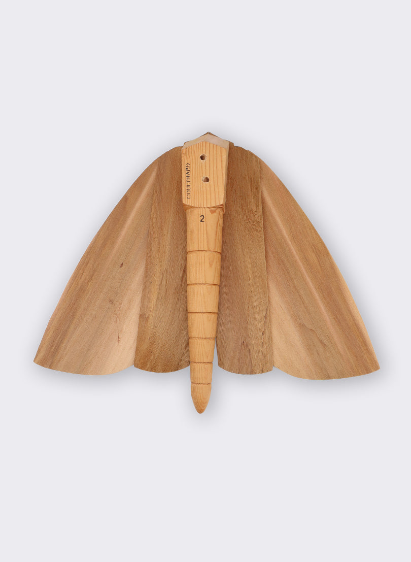 Wooden Moth - 2