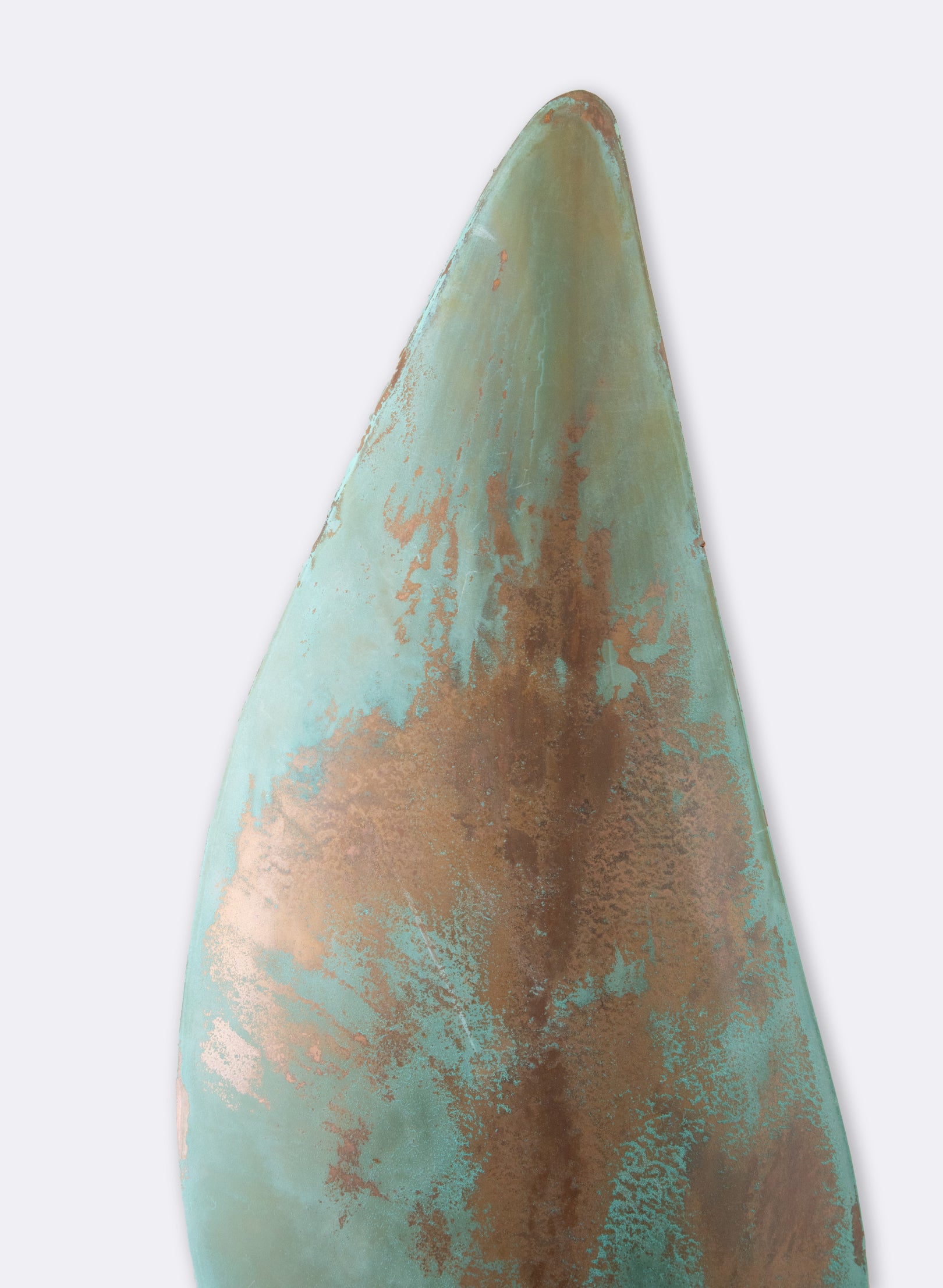 Large Mussel Shell - Plain