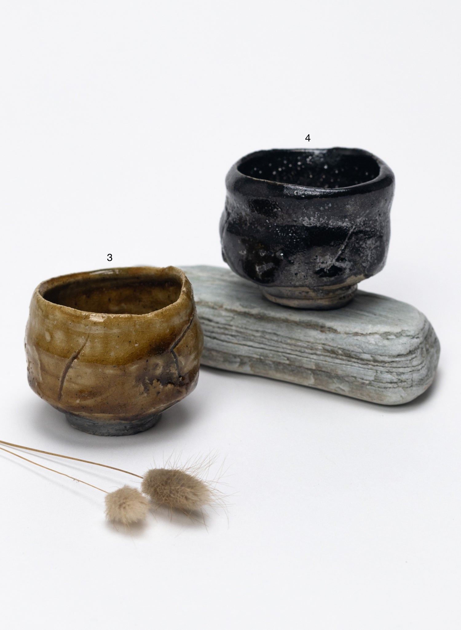 Hikidashiguro & Kizeto Guinomi