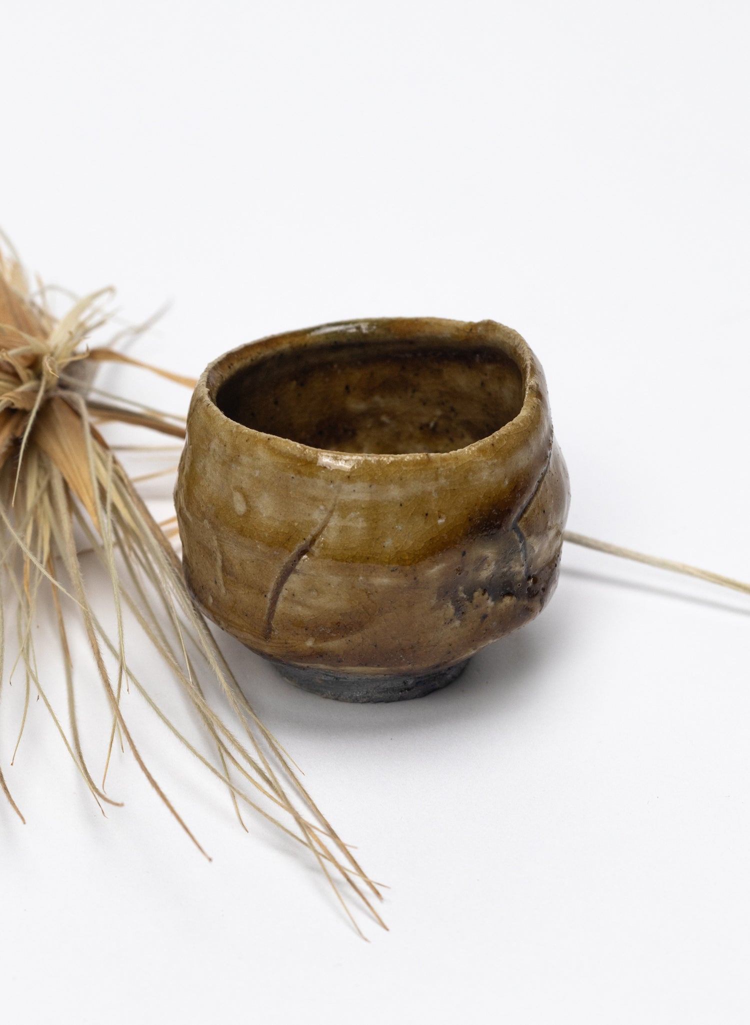 Hikidashiguro & Kizeto Guinomi