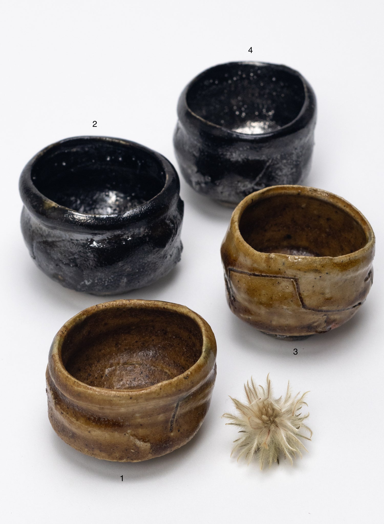 Hikidashiguro & Kizeto Guinomi