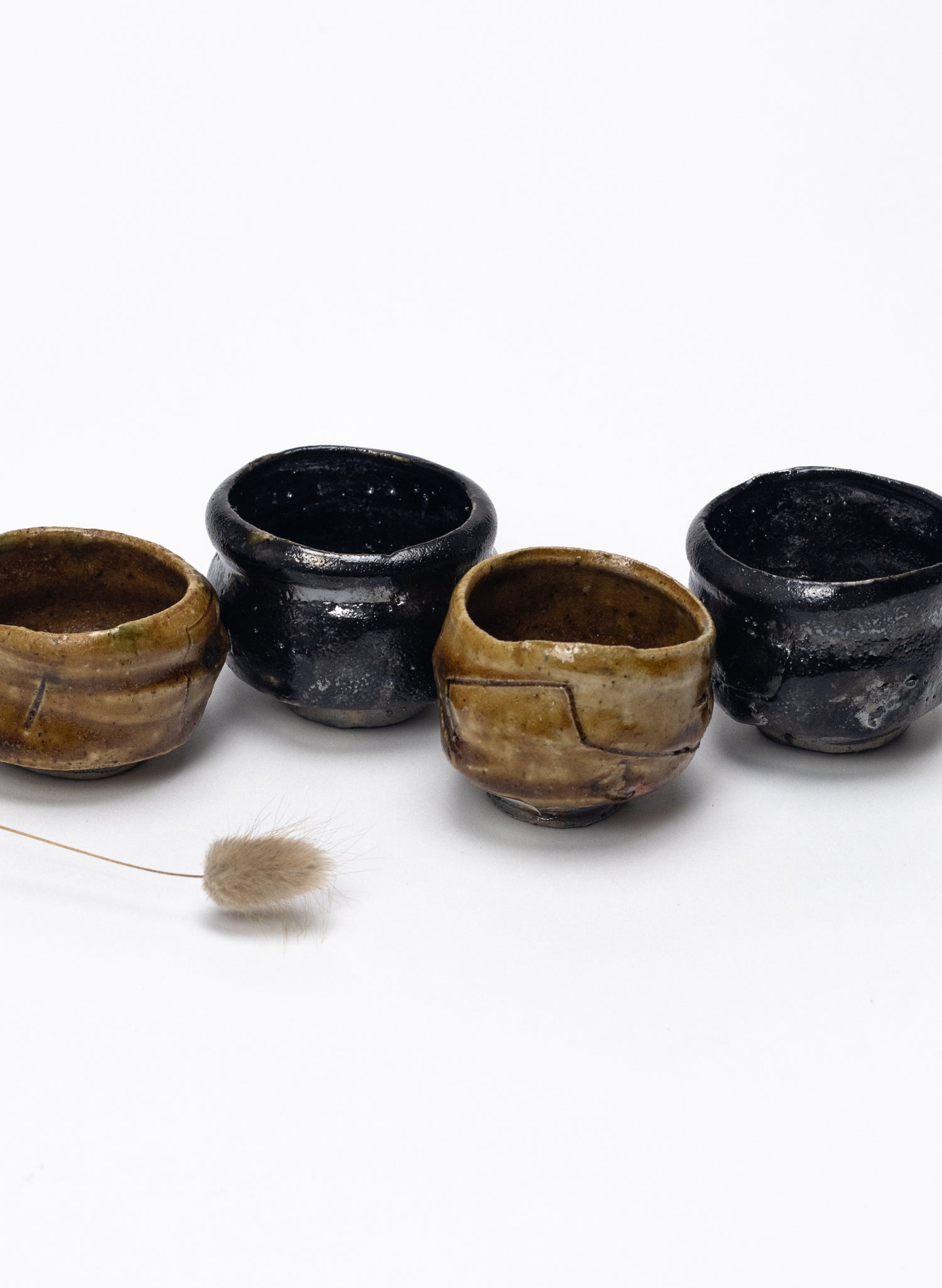 Hikidashiguro & Kizeto Guinomi