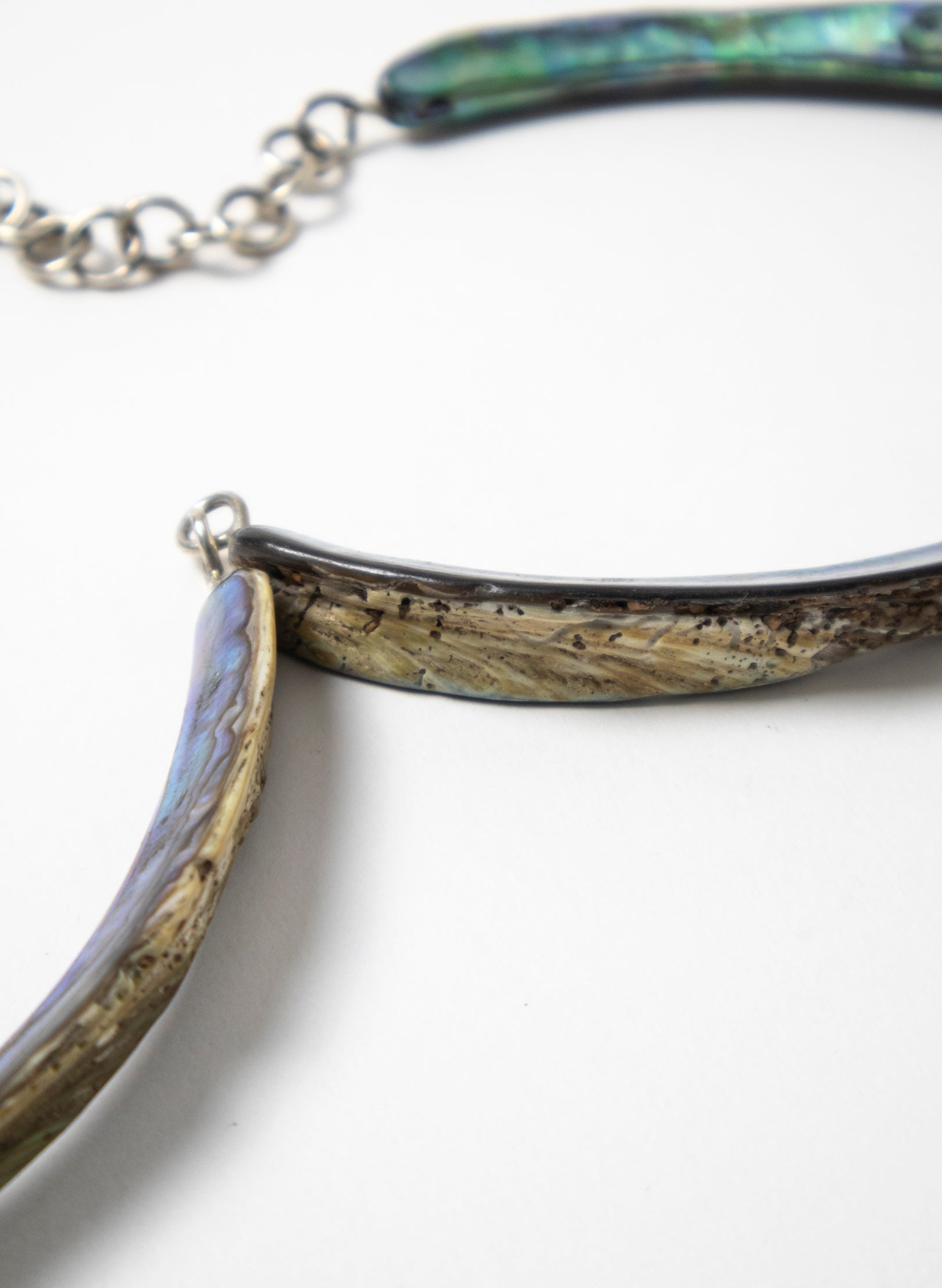 Paua Tusk Necklace
