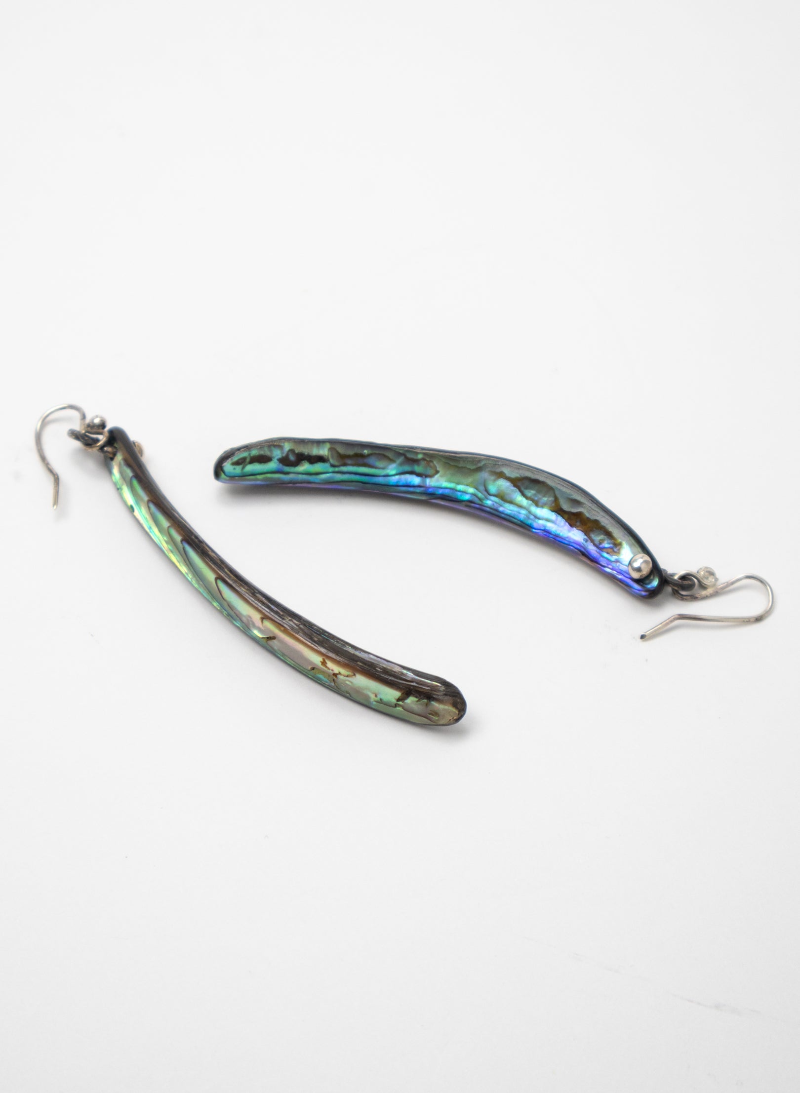 Paua Tusk Earrings