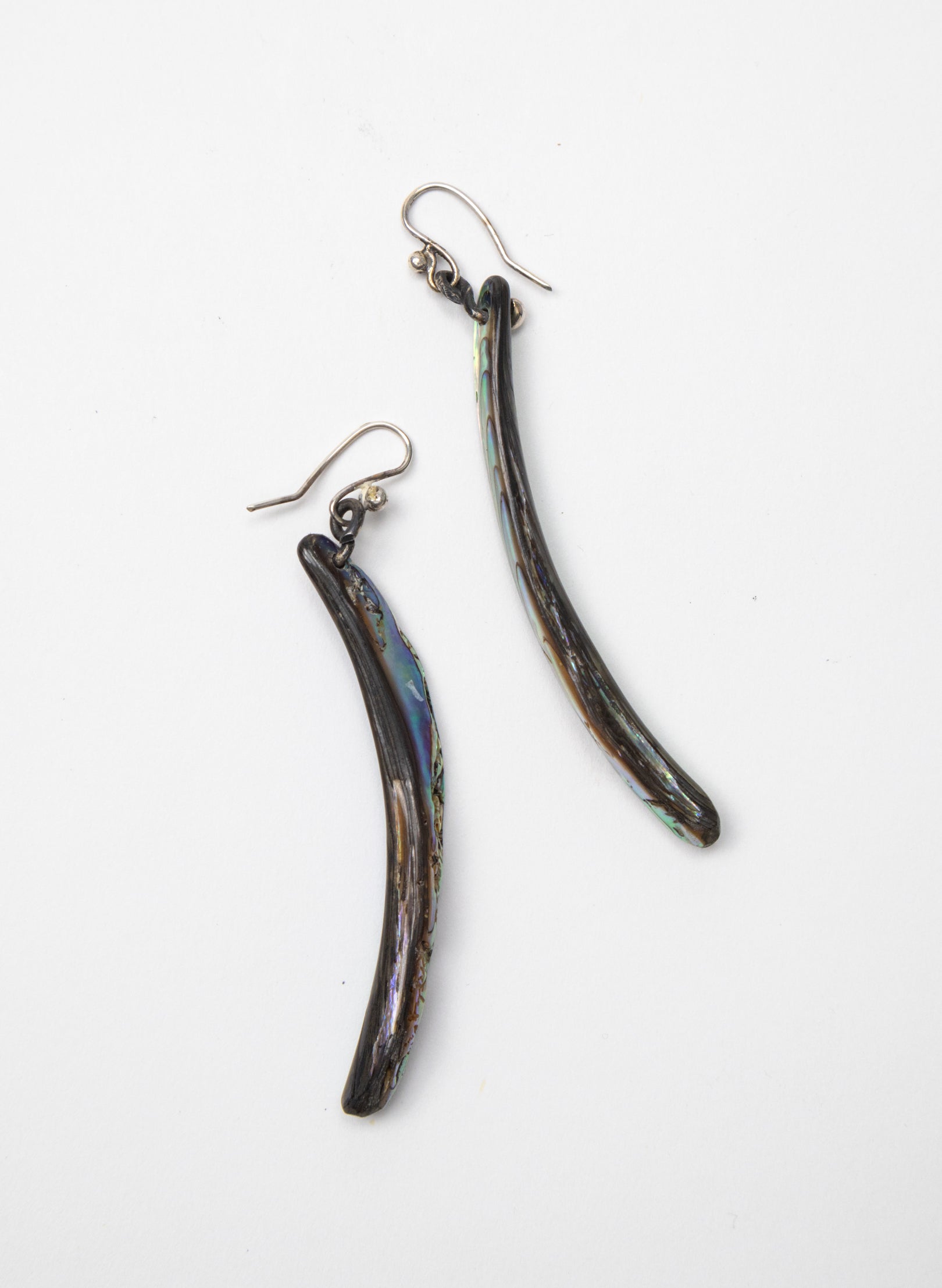 Paua Tusk Earrings