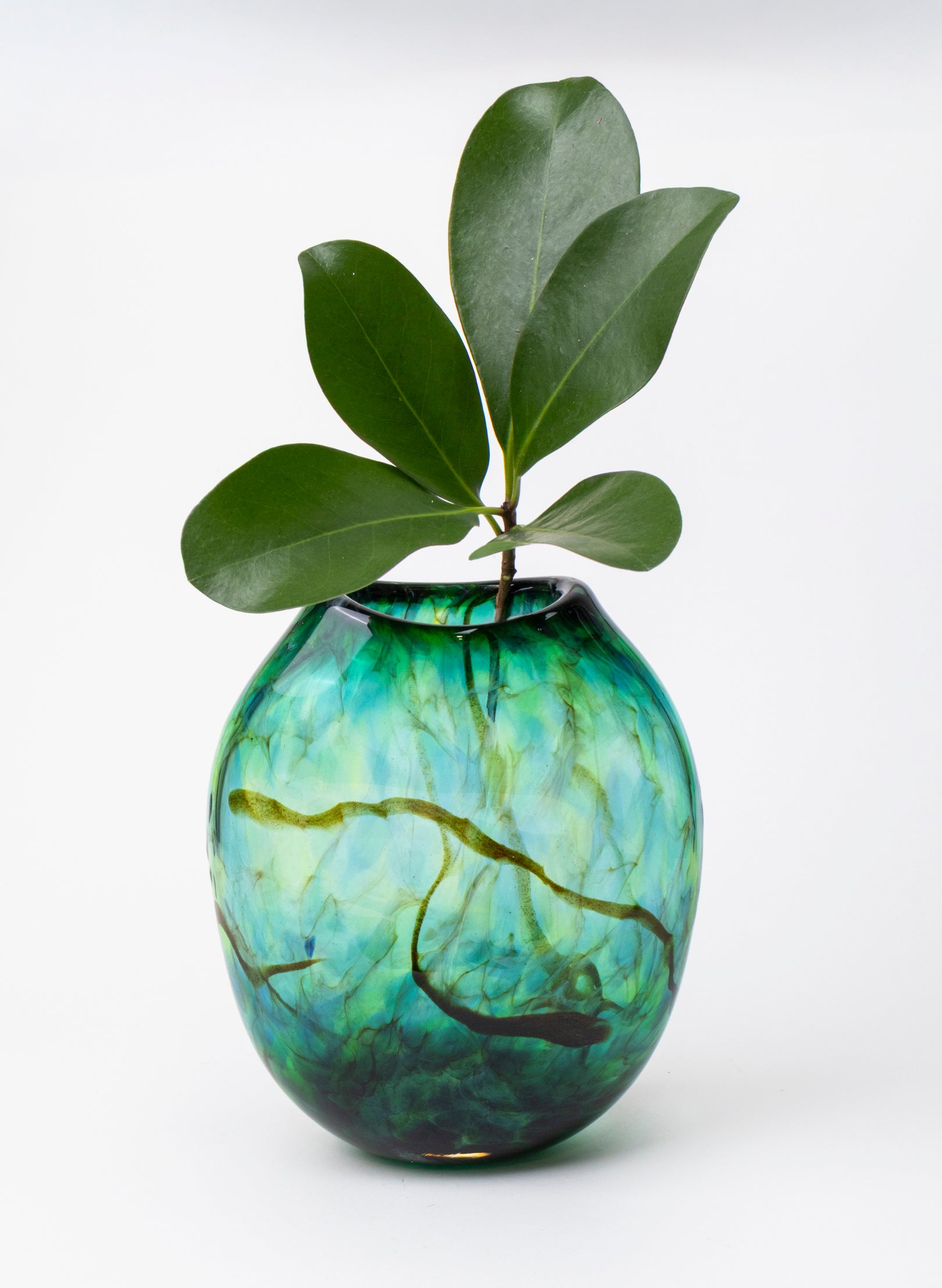 Greenstone Flat Transparent Glass Vase