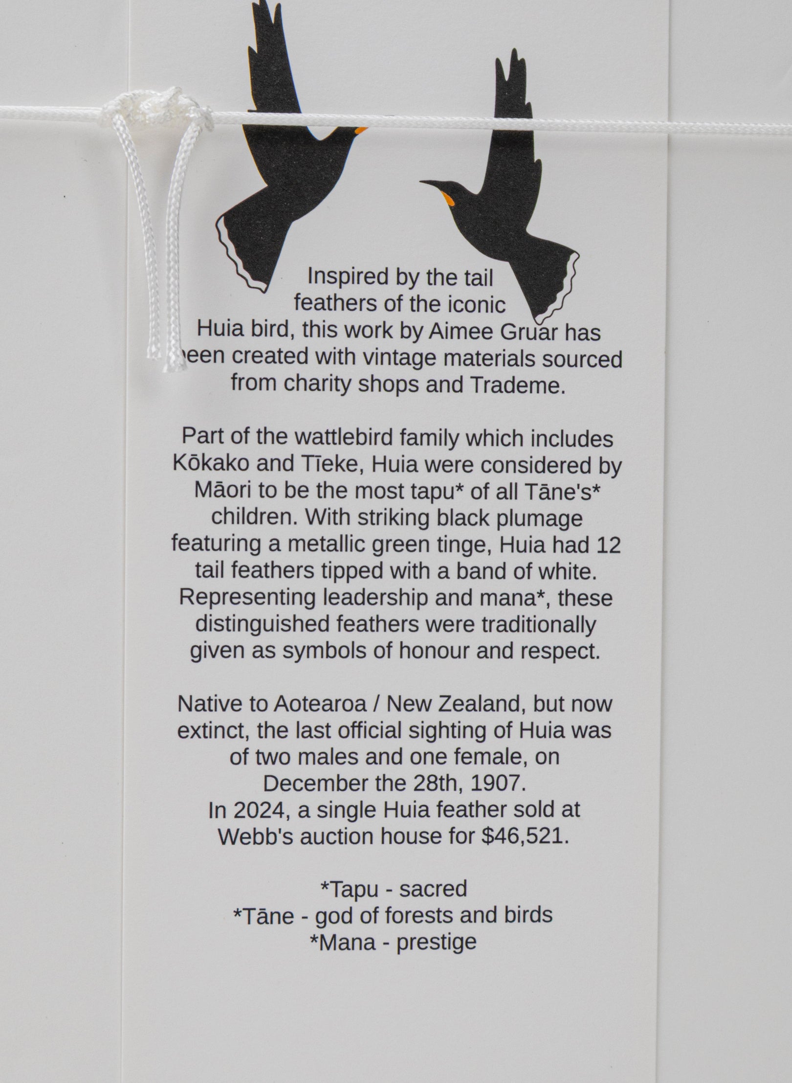 Single X Huia Feather Framed