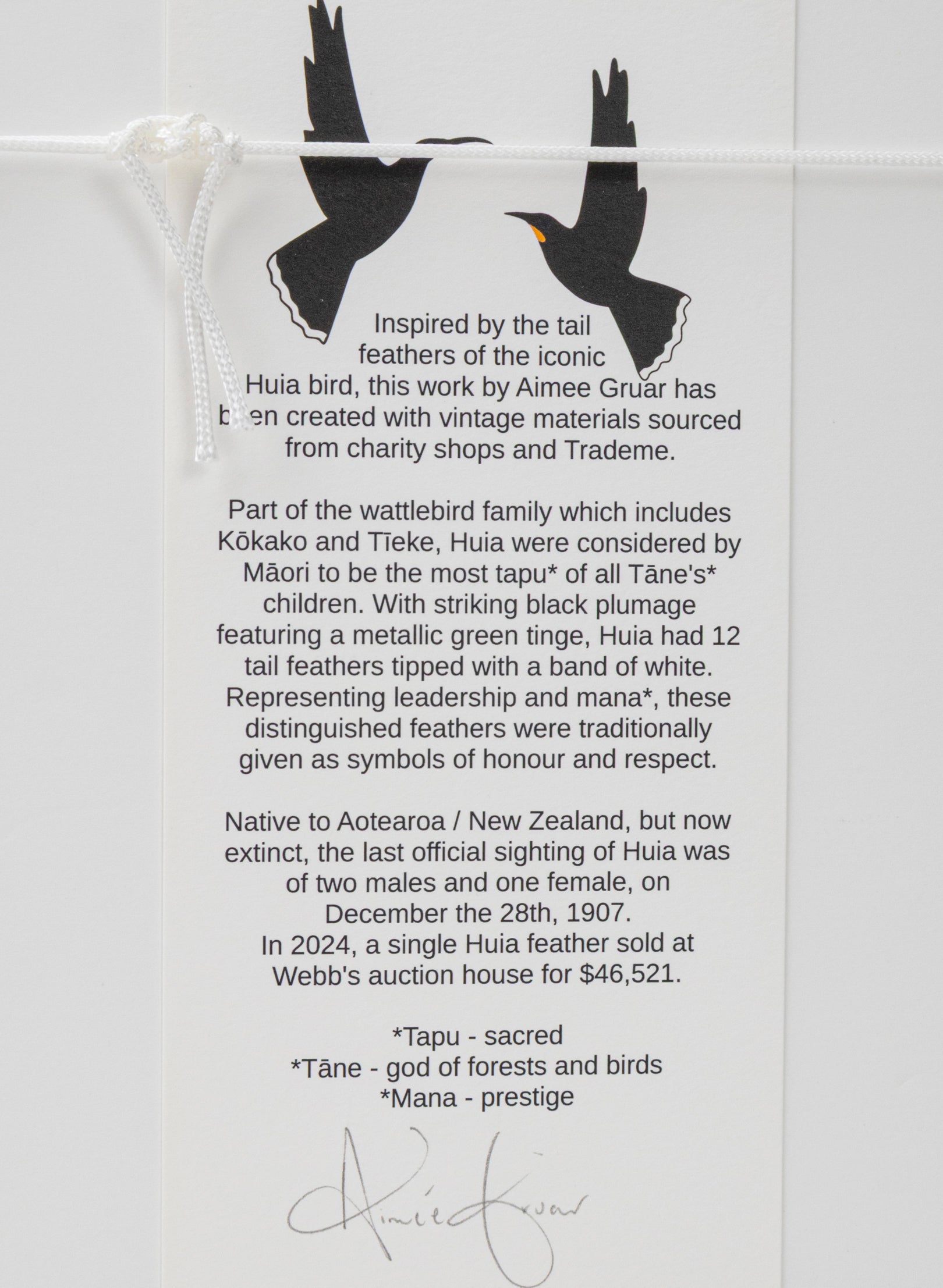 Single X Huia Feather Framed