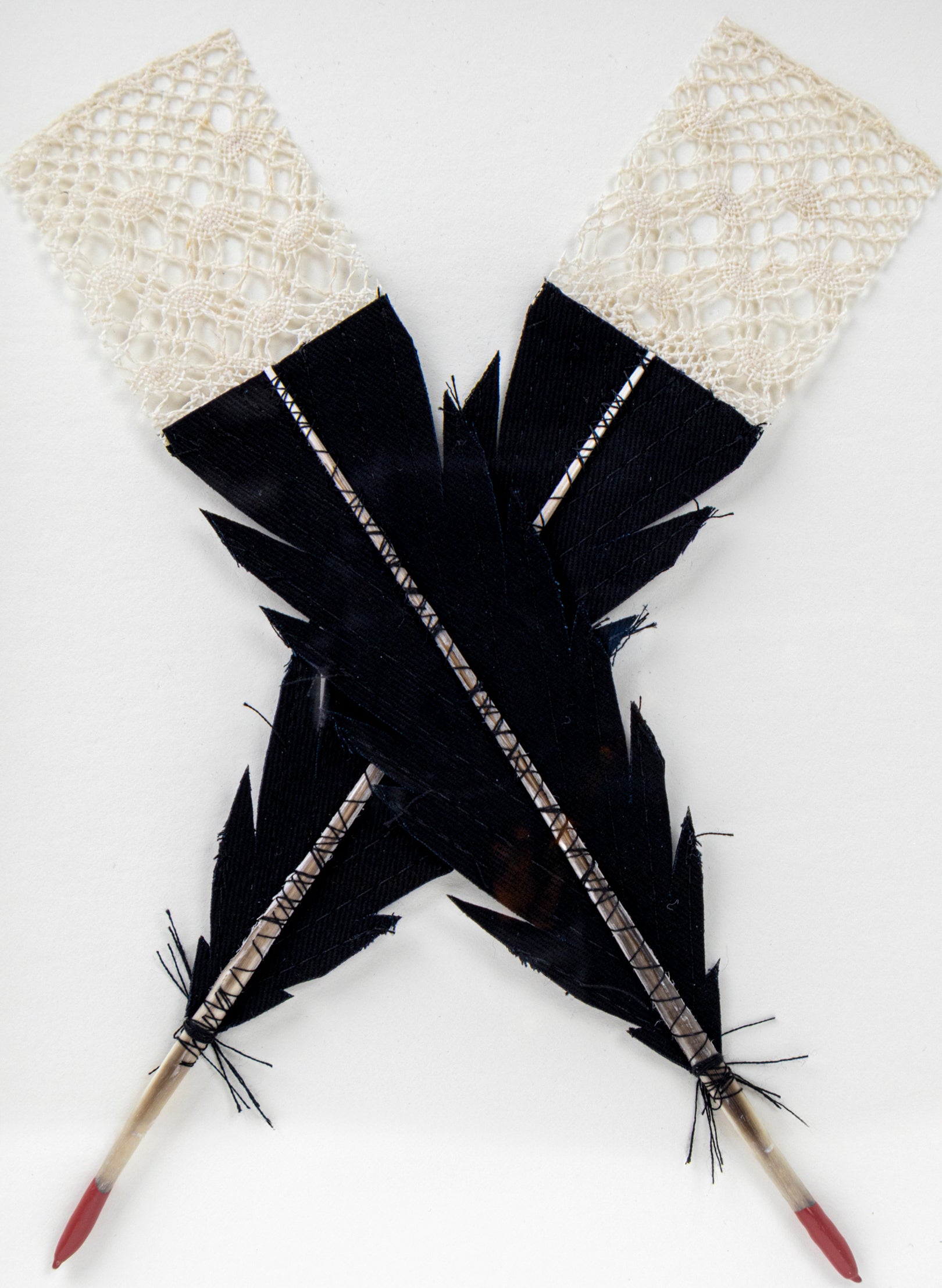 Single X Huia Feather Framed
