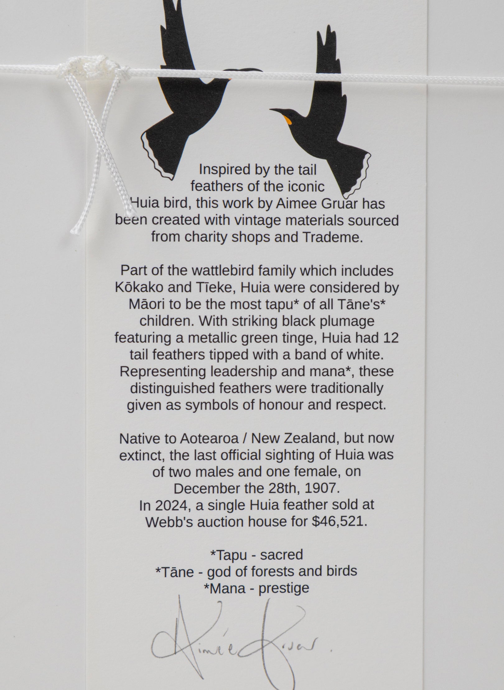 Single X Huia Feather Framed