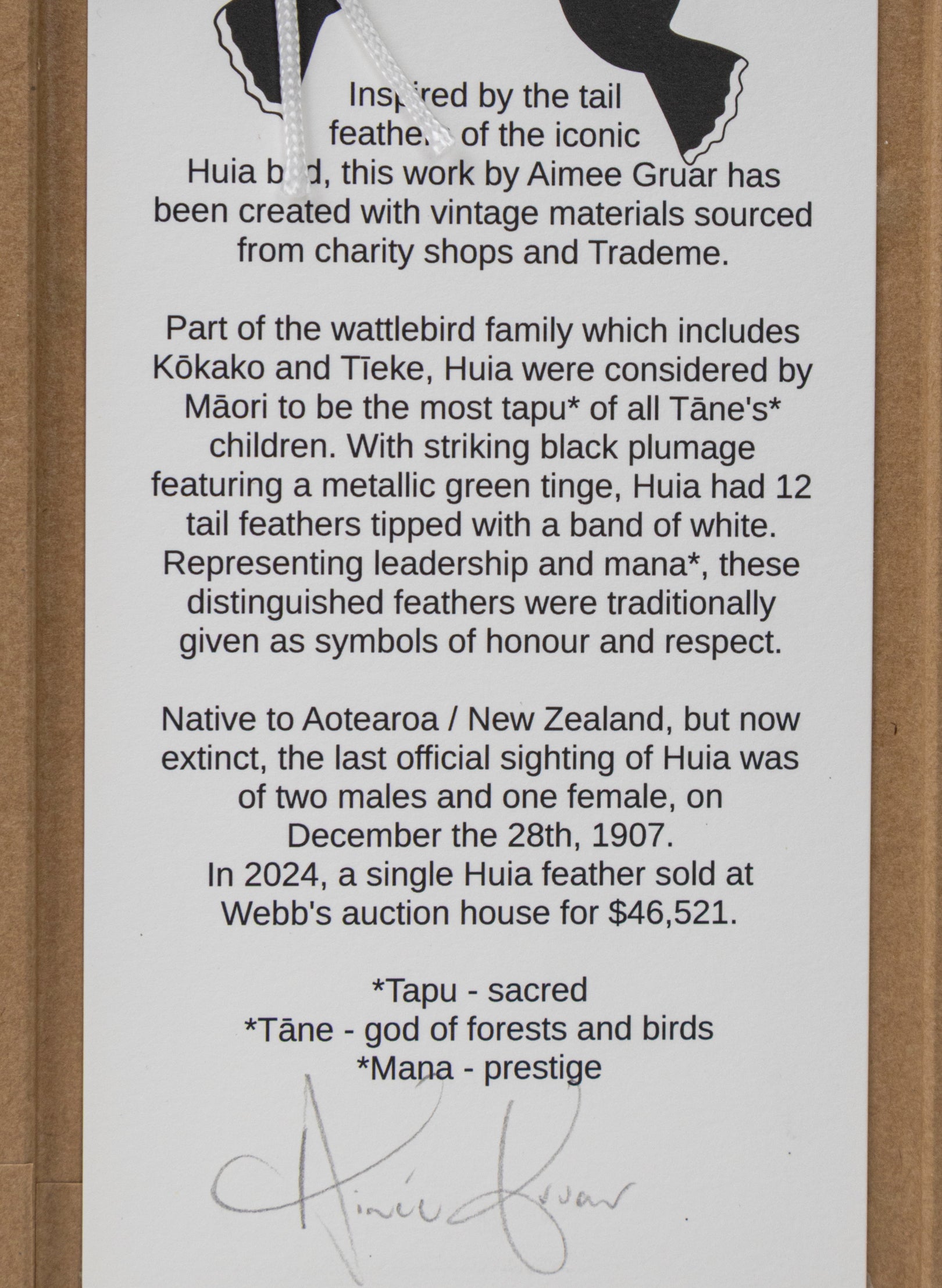 Single Huia Feather Framed