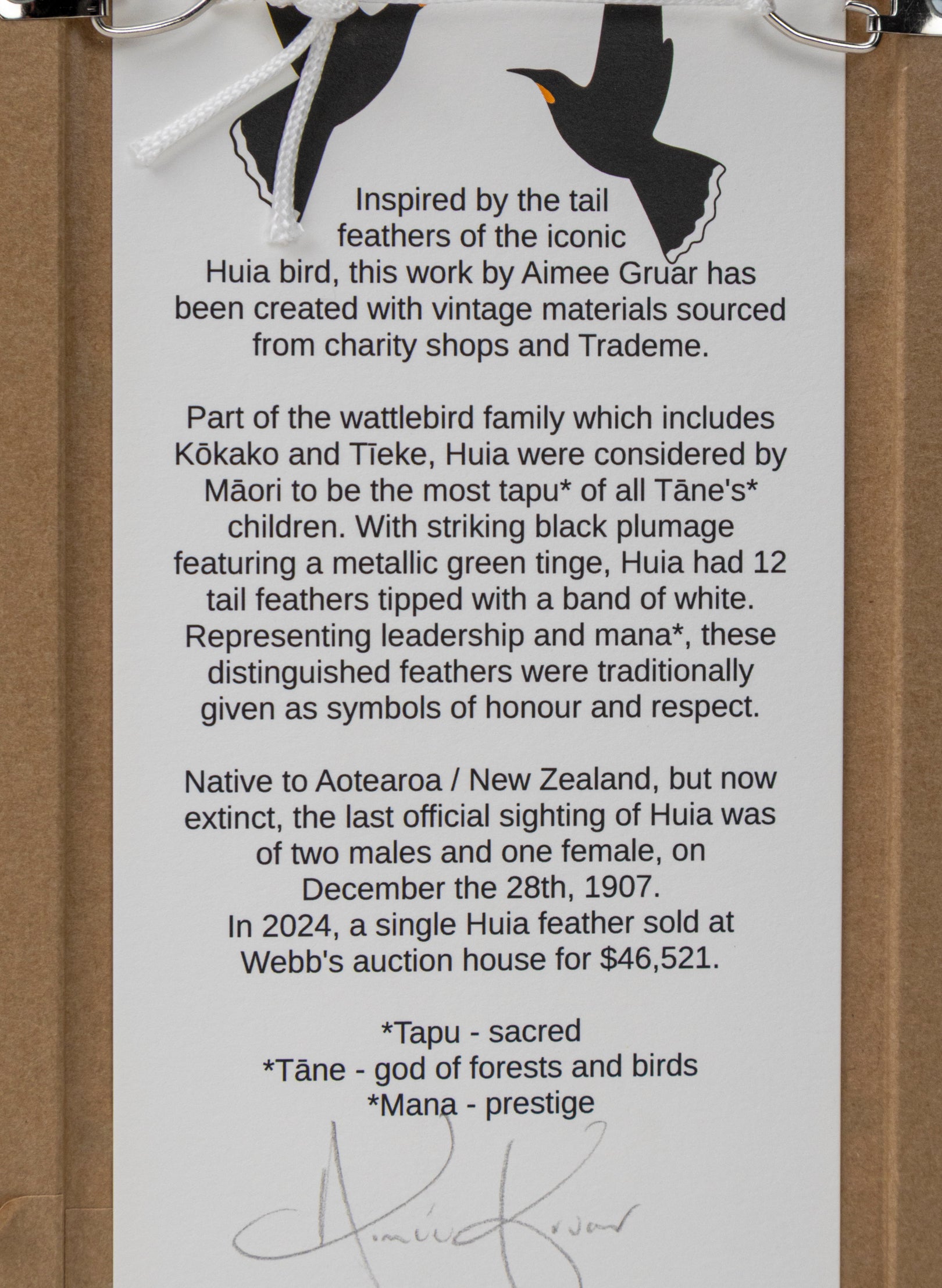 Single Huia Feather Framed