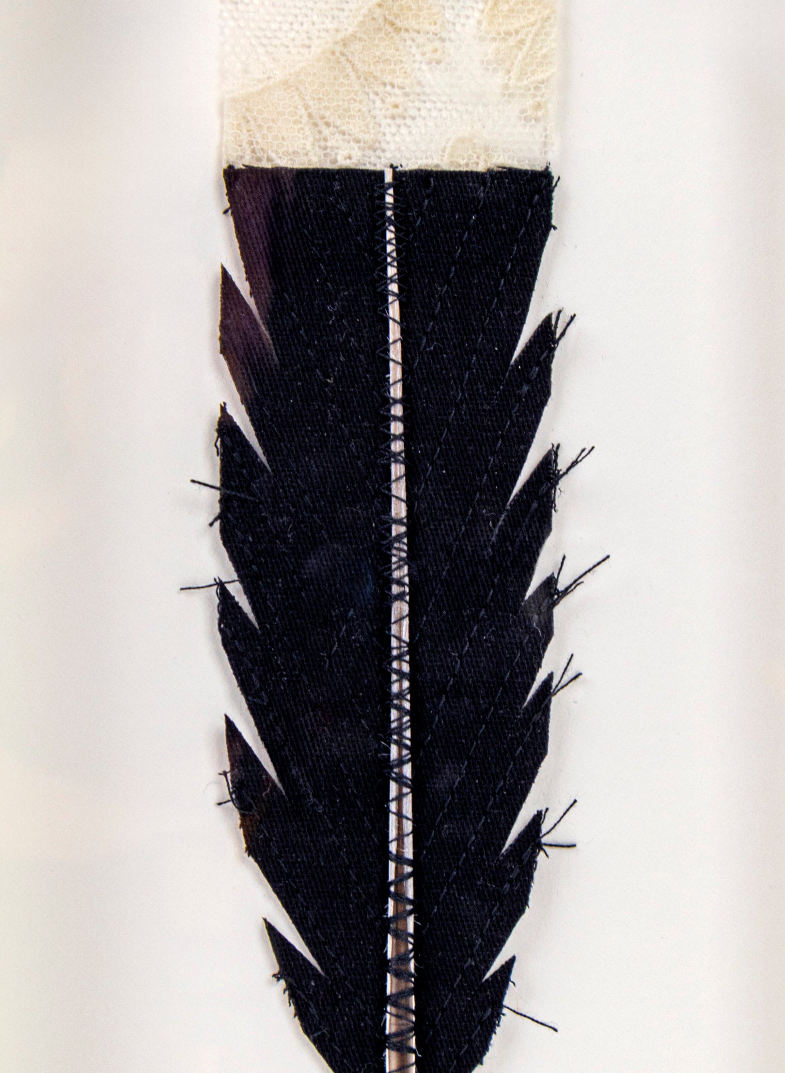 Single Huia Feather Framed