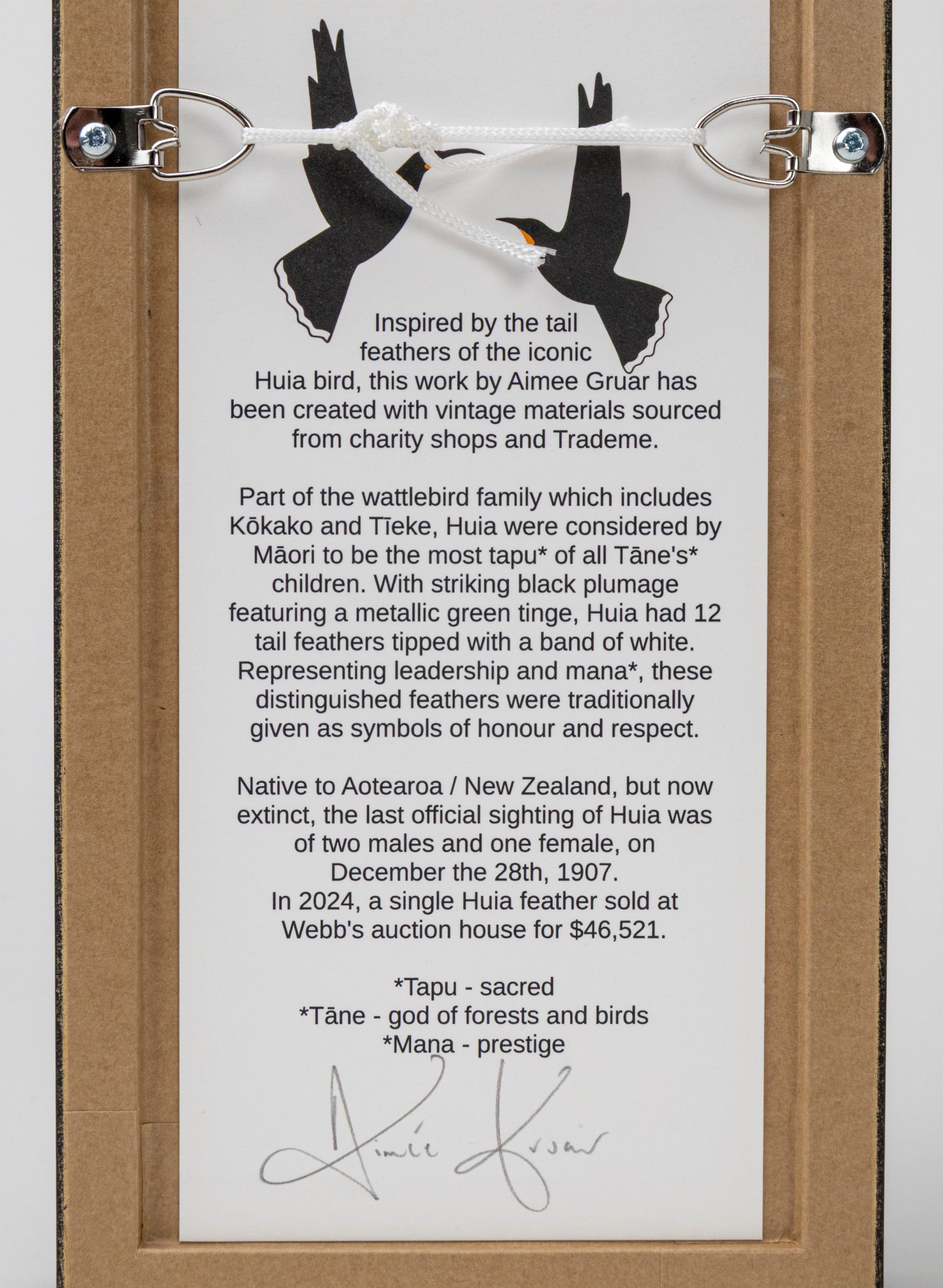 Single Huia Feather Framed