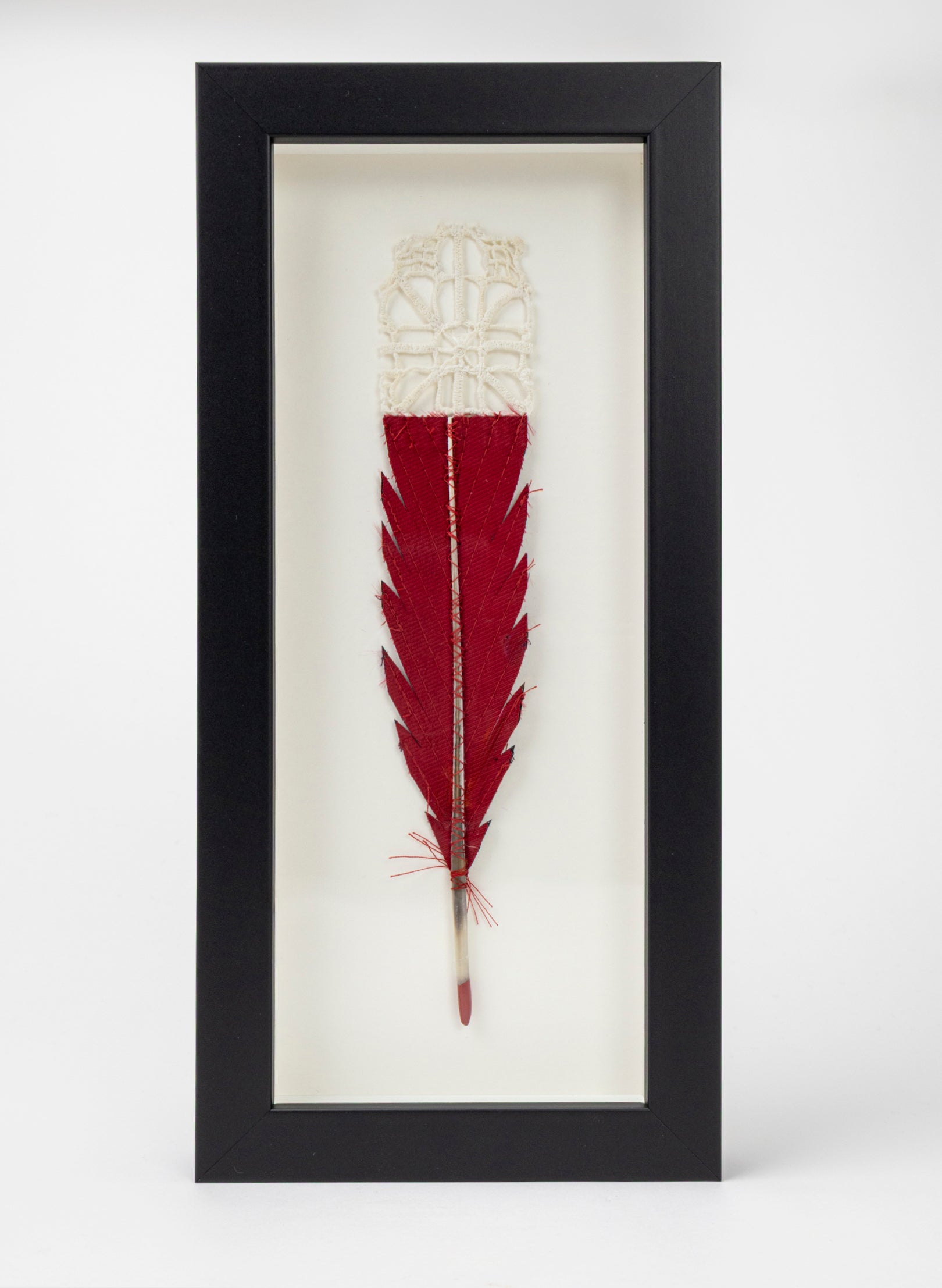 Single Huia Feather Framed