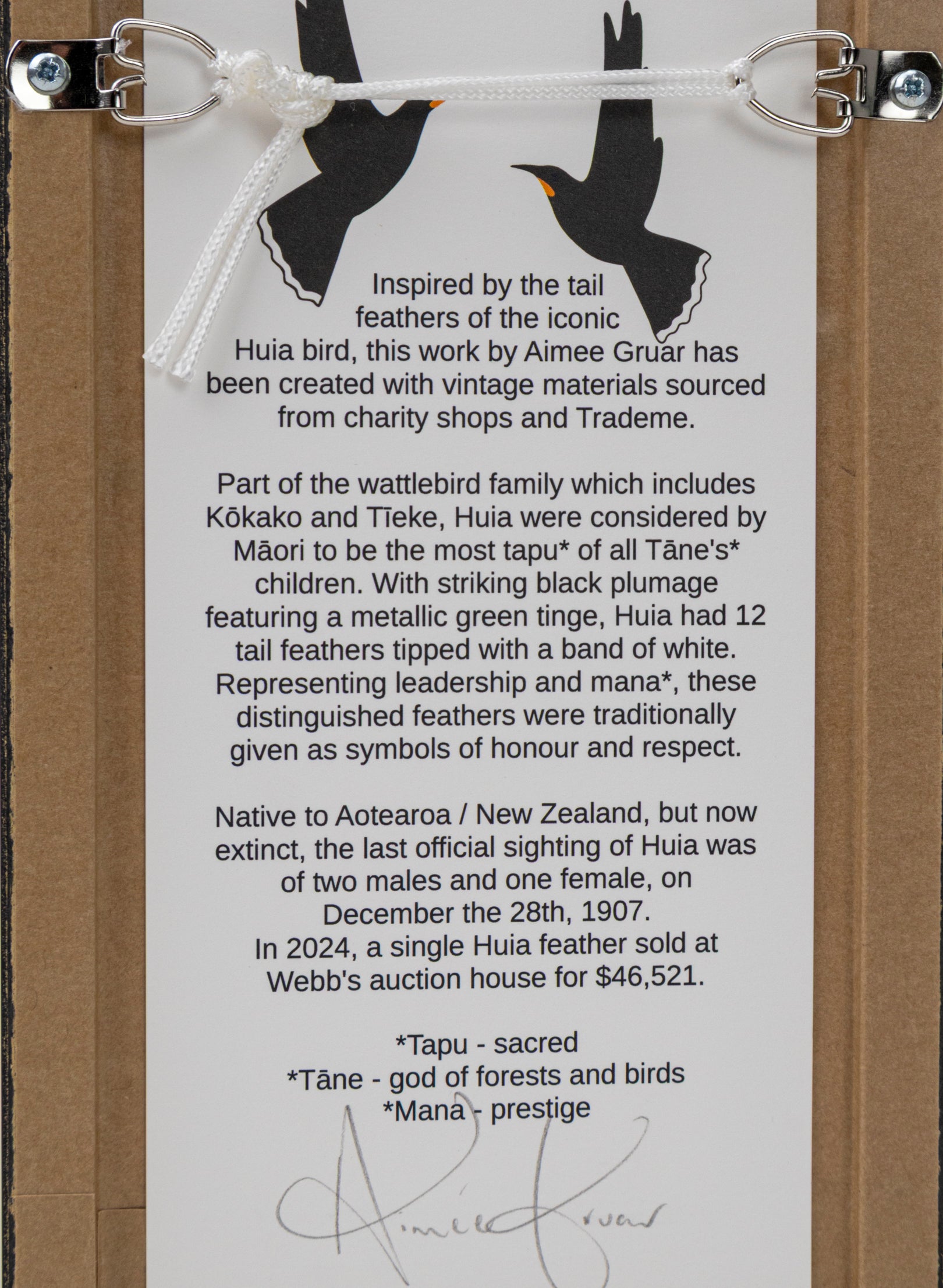 Single Huia Feather Framed