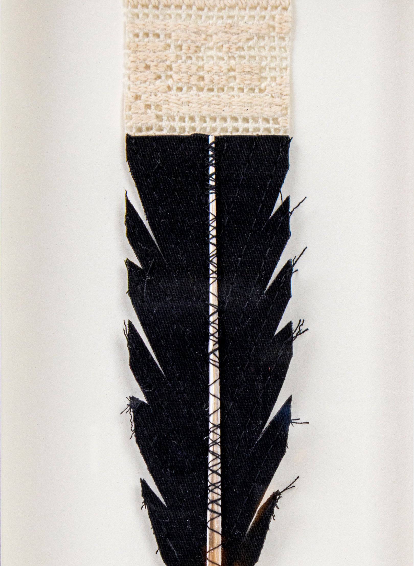 Single Huia Feather Framed