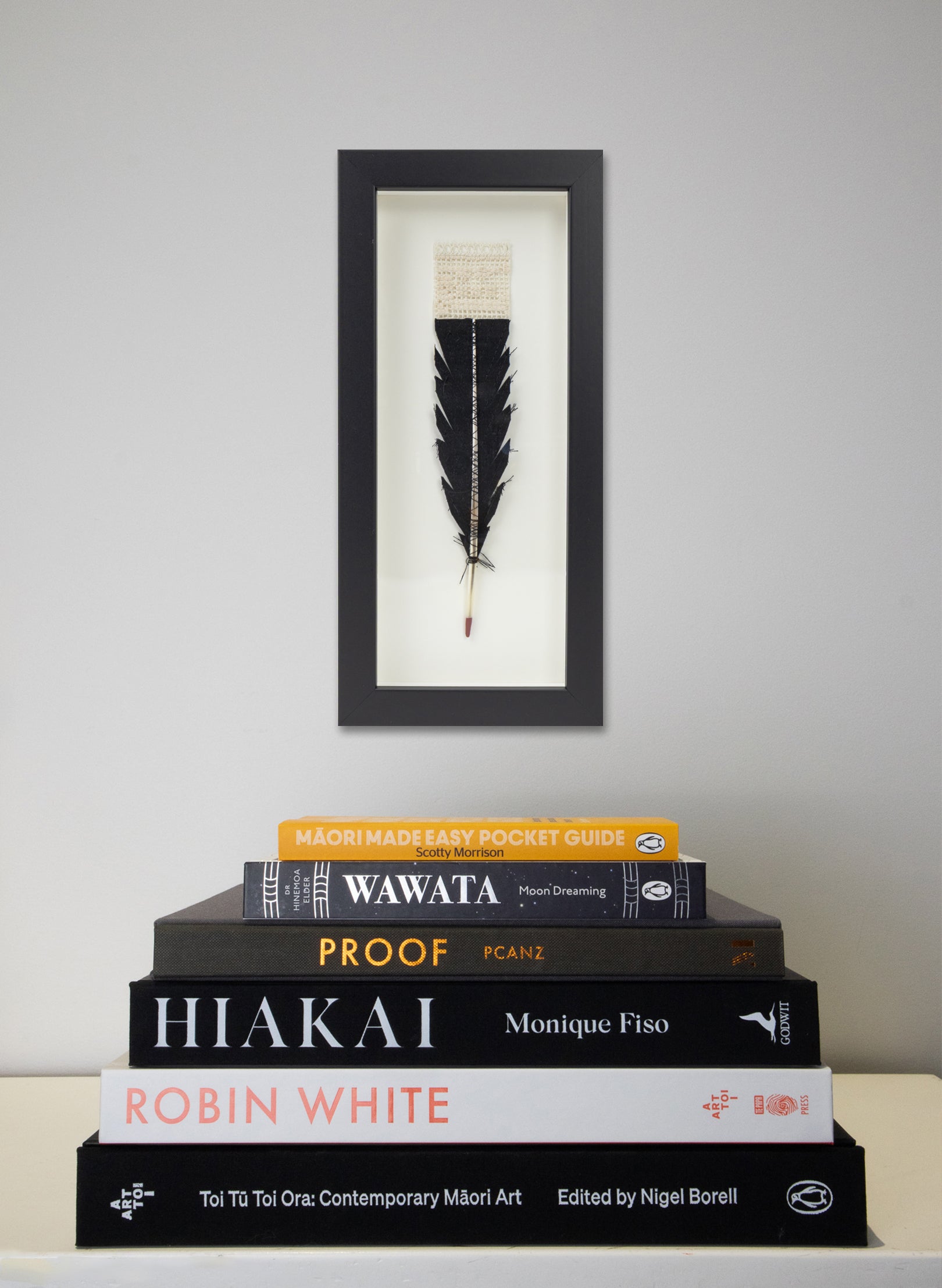 Single Huia Feather Framed