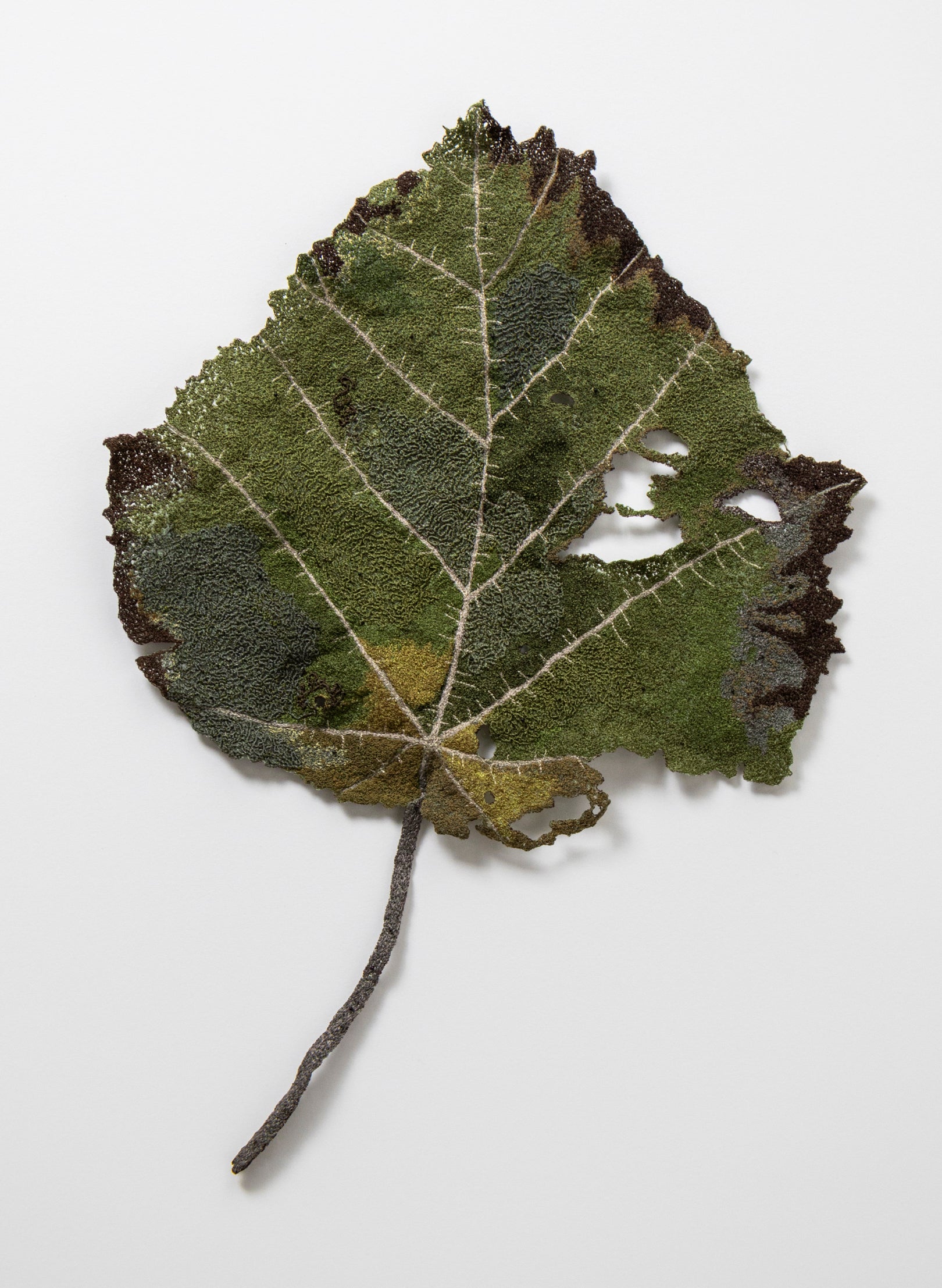 NZ Whau Leaf - 3D Embroidery