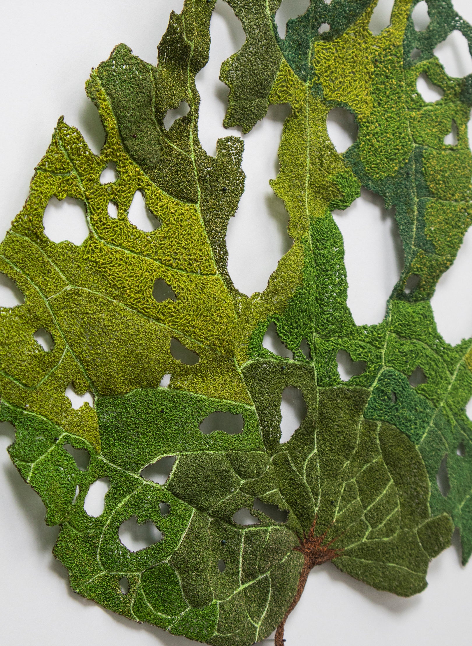 Giant Kawakawa Leaf - 3D Embroidery