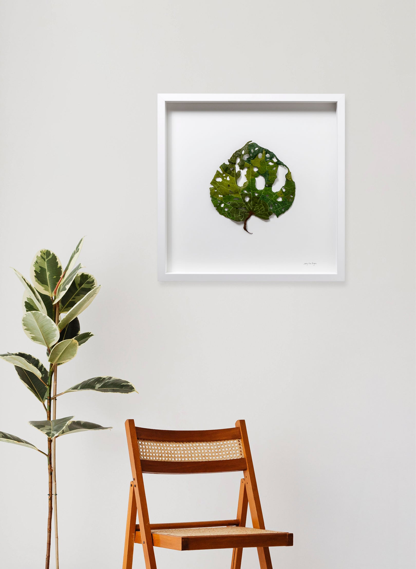 Giant Kawakawa Leaf - 3D Embroidery