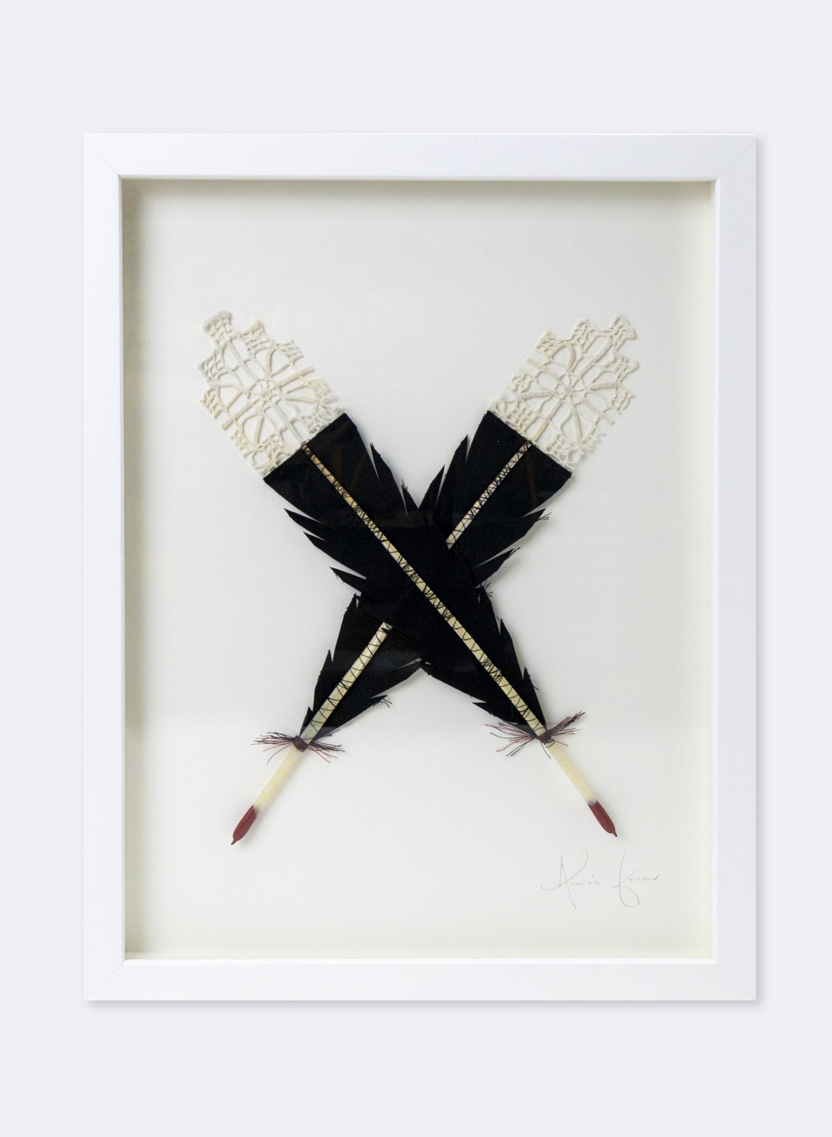 Large X Huia Feather Framed