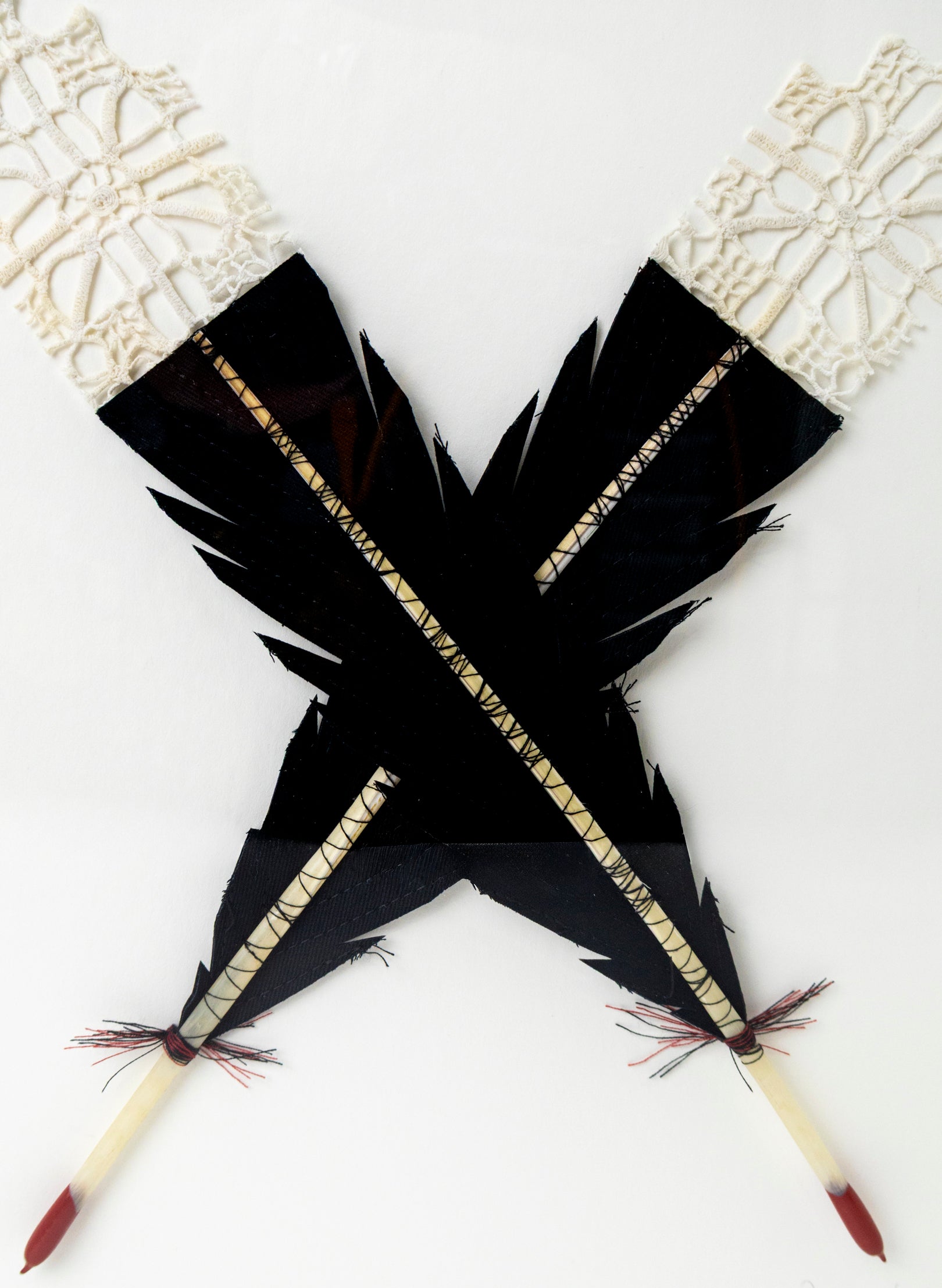 Large X Huia Feather Framed