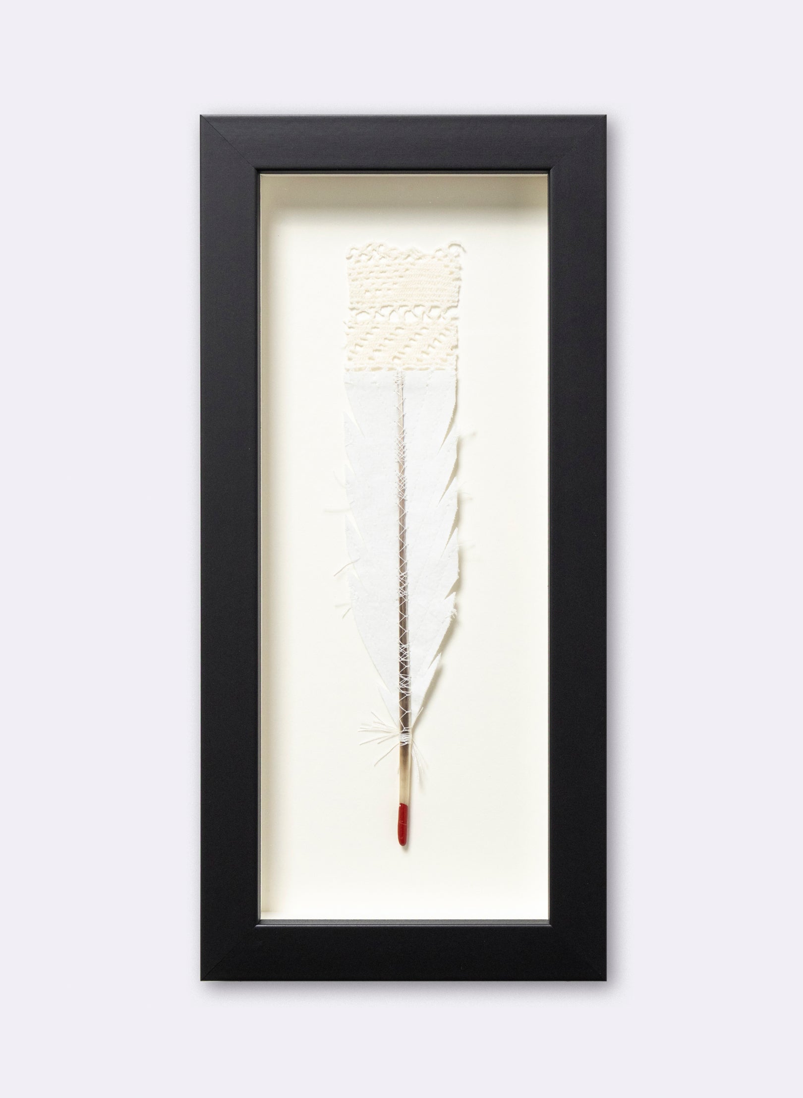 Single Huia Feather Framed