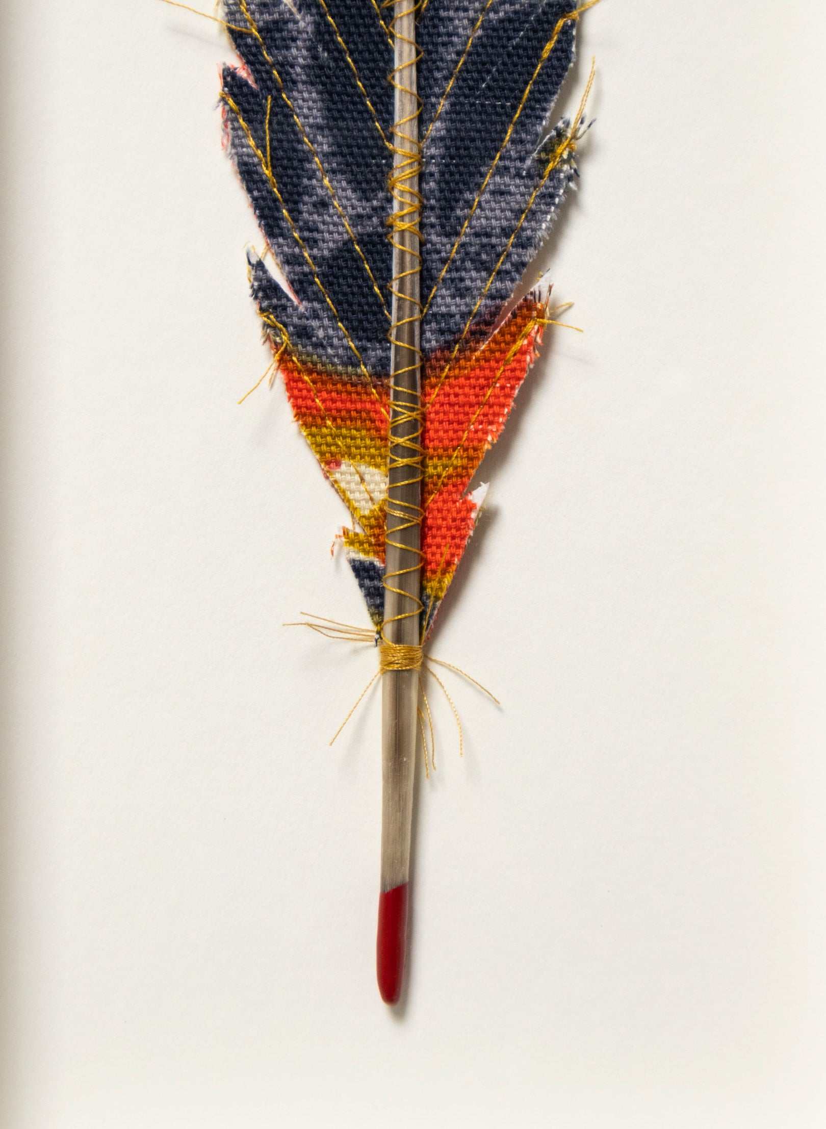 Single Huia Feather Framed