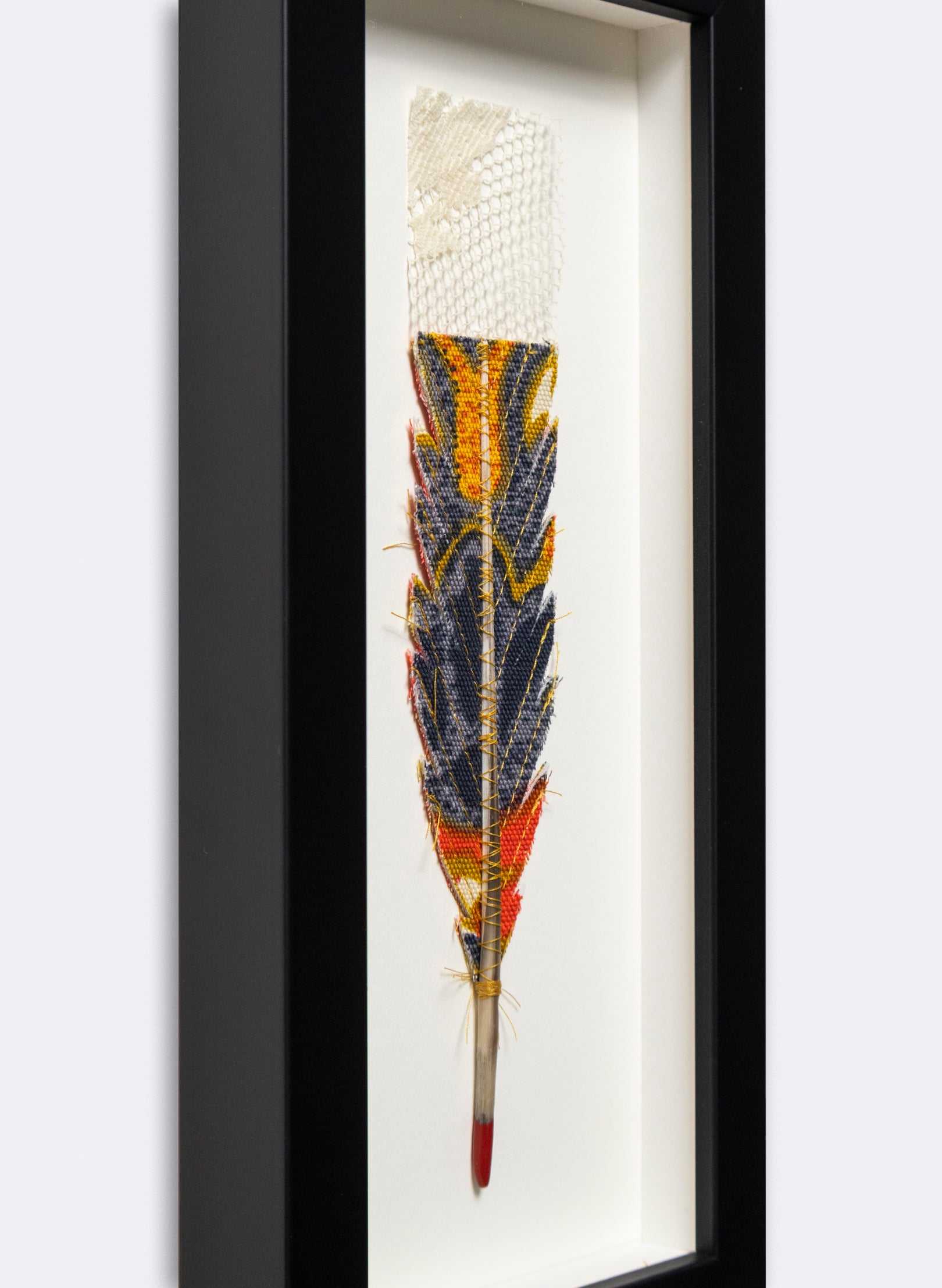 Single Huia Feather Framed