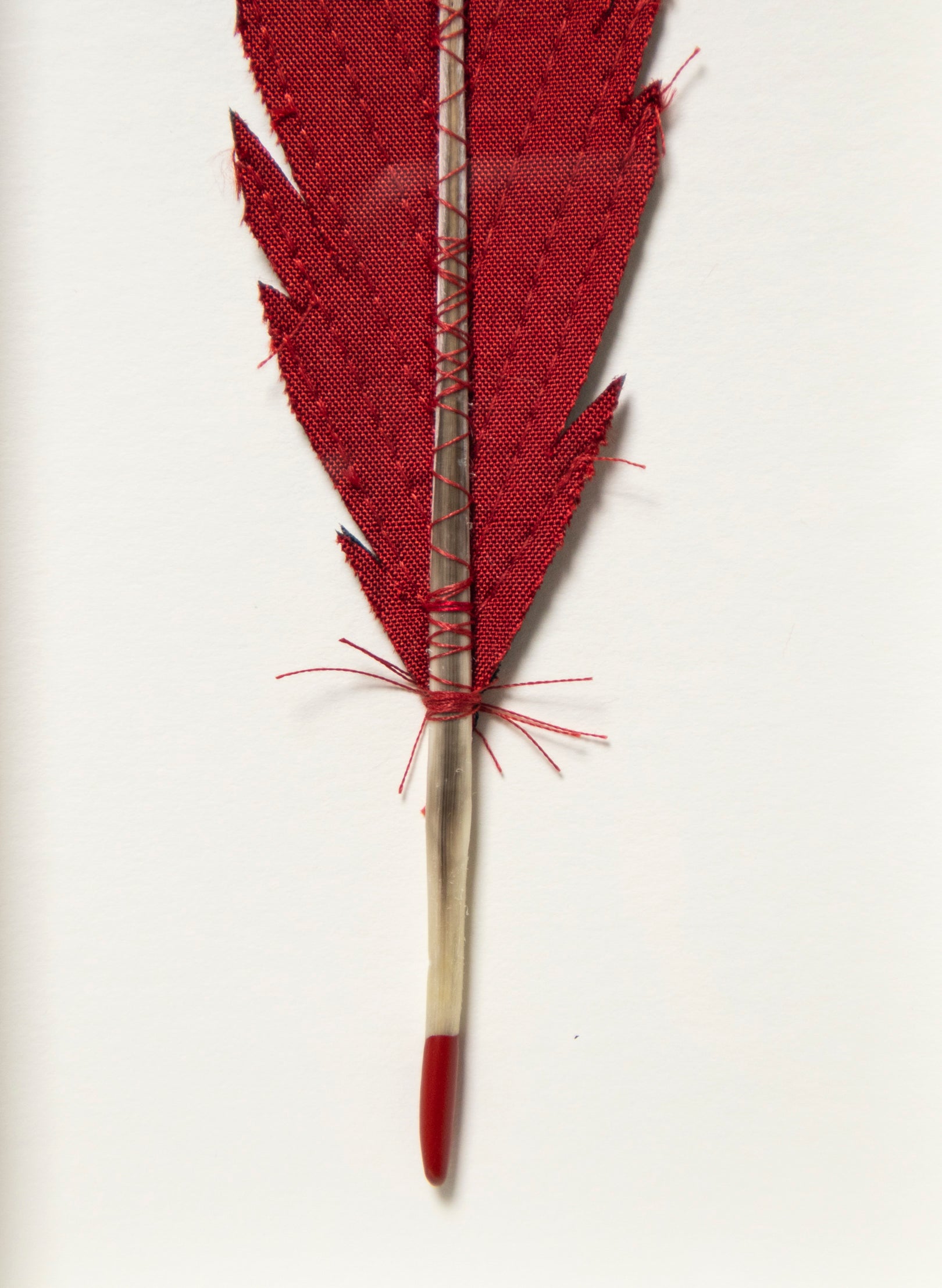 Single Huia Feather Framed