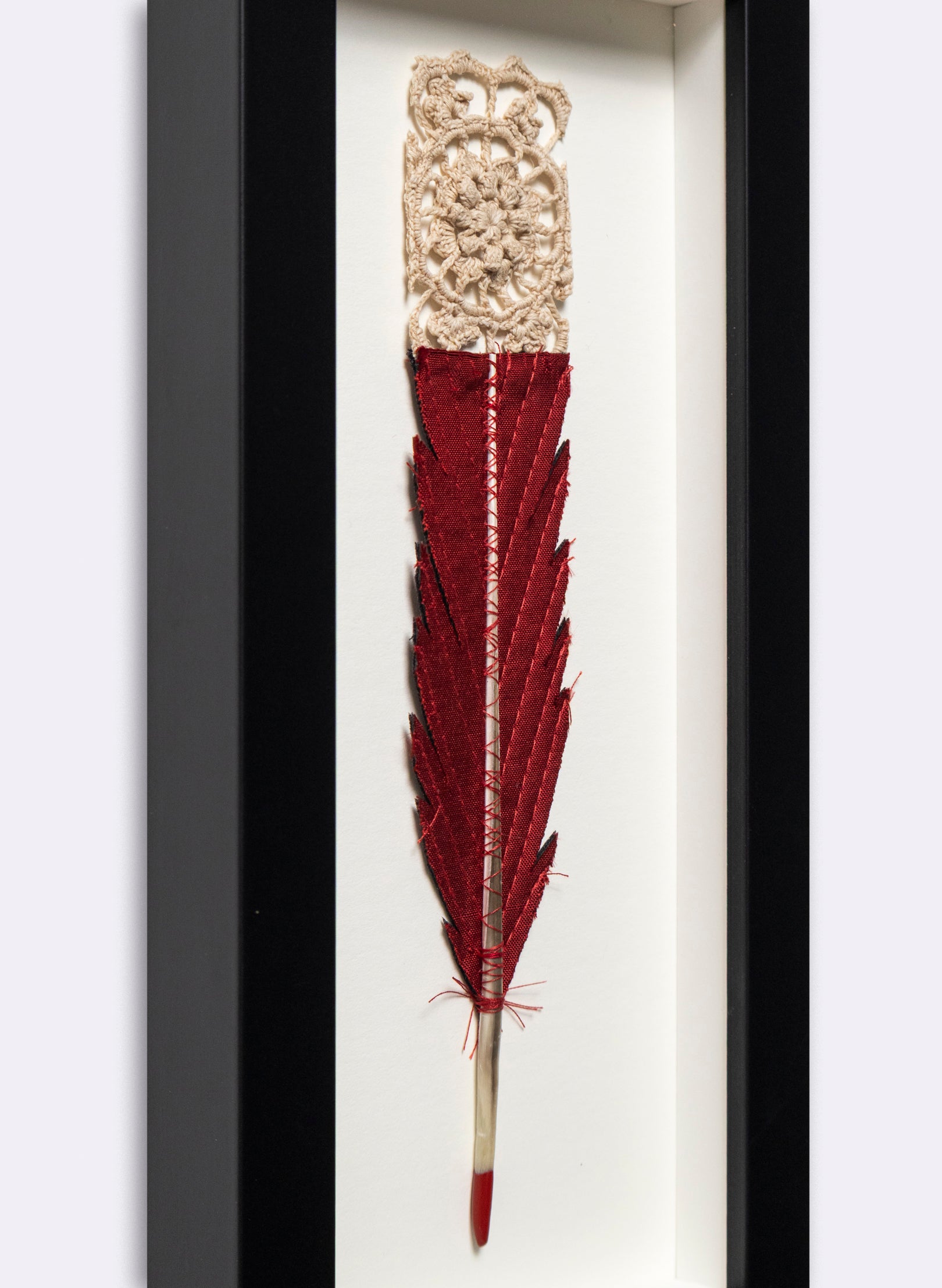 Single Huia Feather Framed