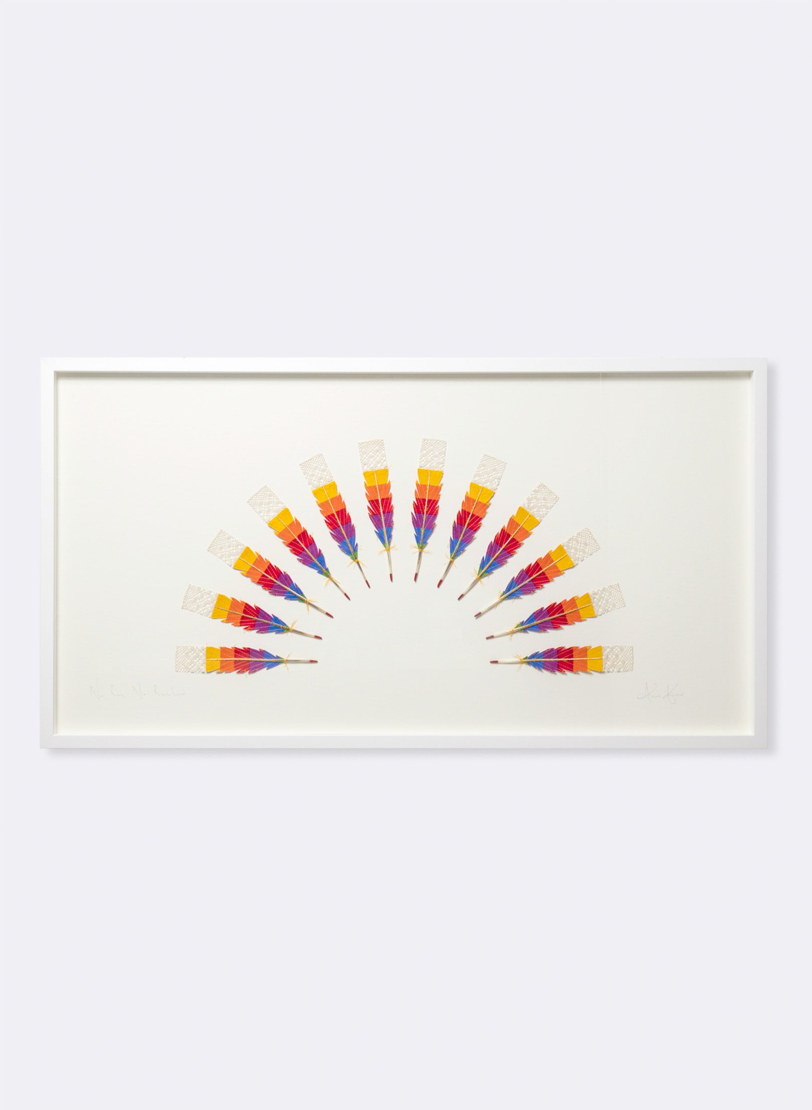 No Rain, No Rainbow - Huia Feathers Framed