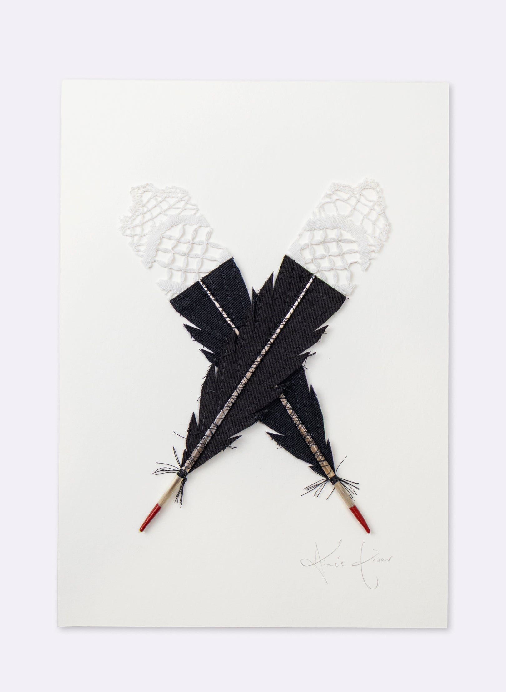 Single X Huia Feather Framed